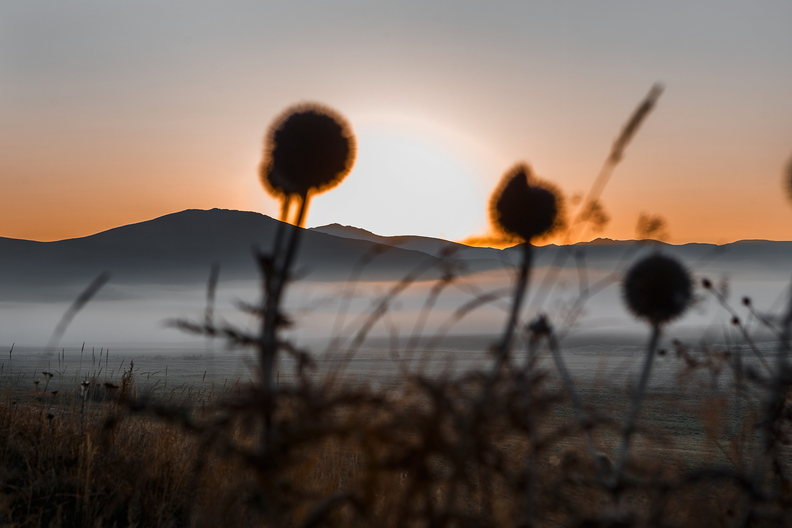 Стрит / Архитектура / Путешествия. Портретный, интерьерный и фуд фотограф в Перми Иван Вострецов