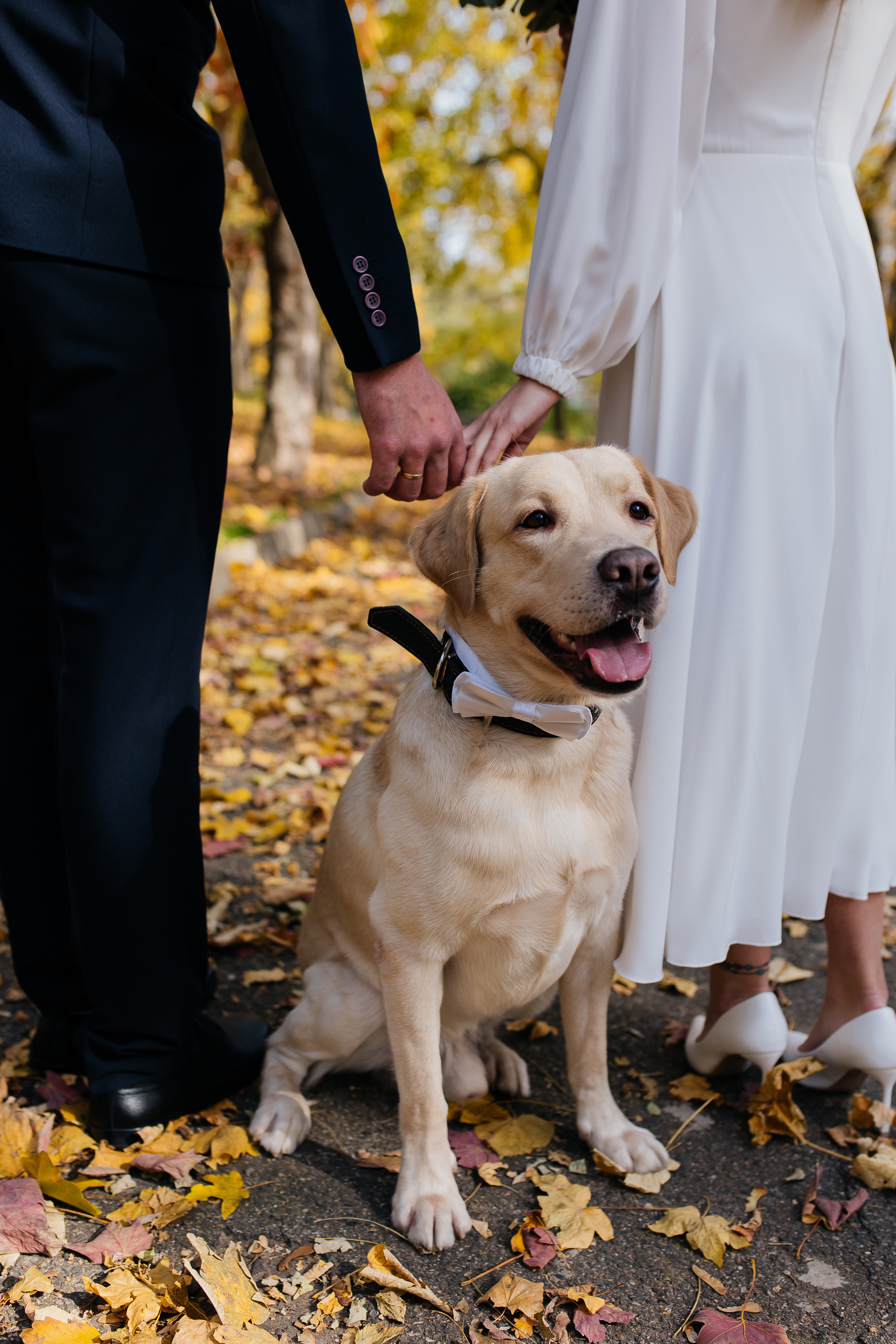 Анастасия и Александр. Фотограф в Невинномысске Оксана Кислова