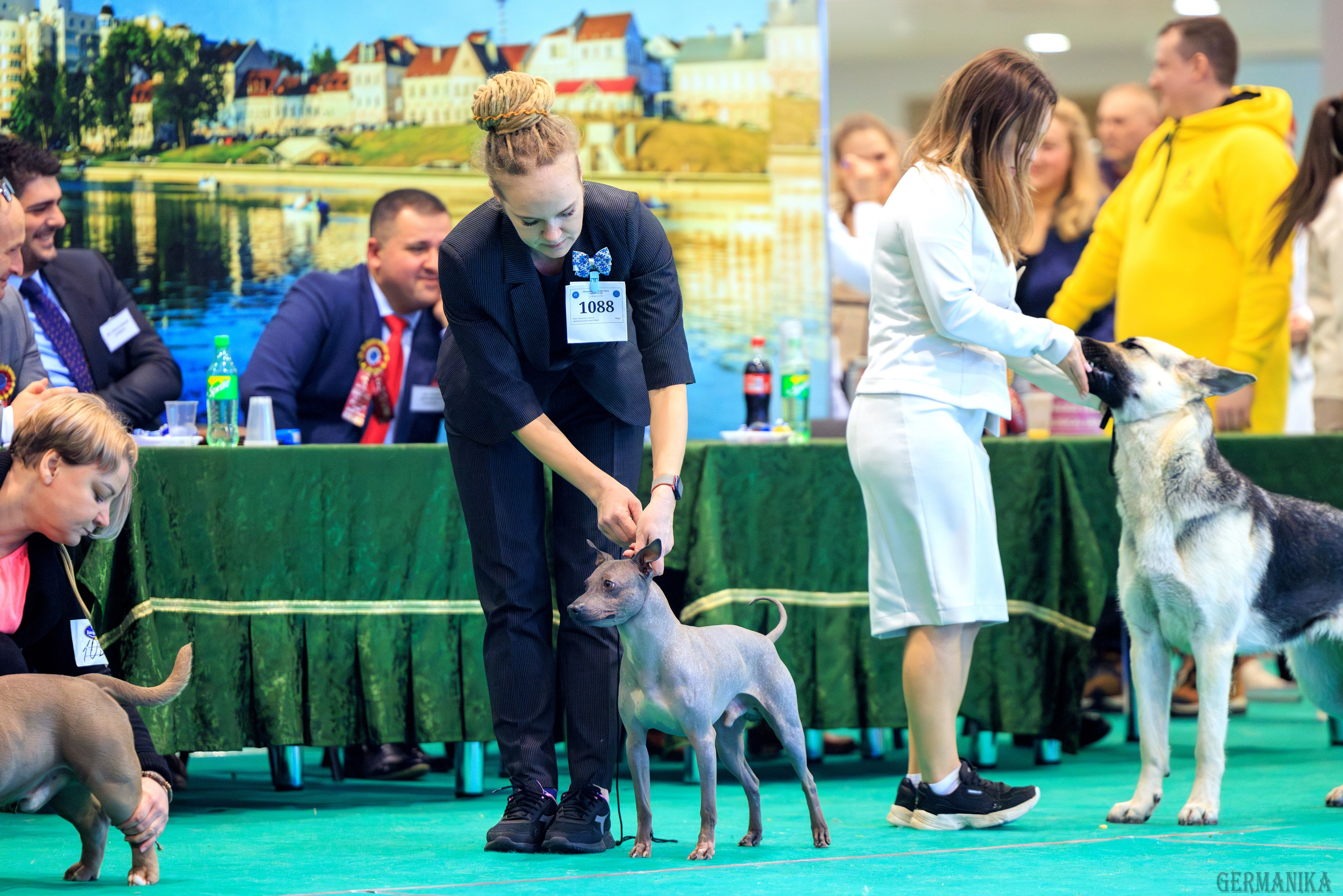 Минск 24-25.02.2024. Фотограф-анималист Юлия Германика