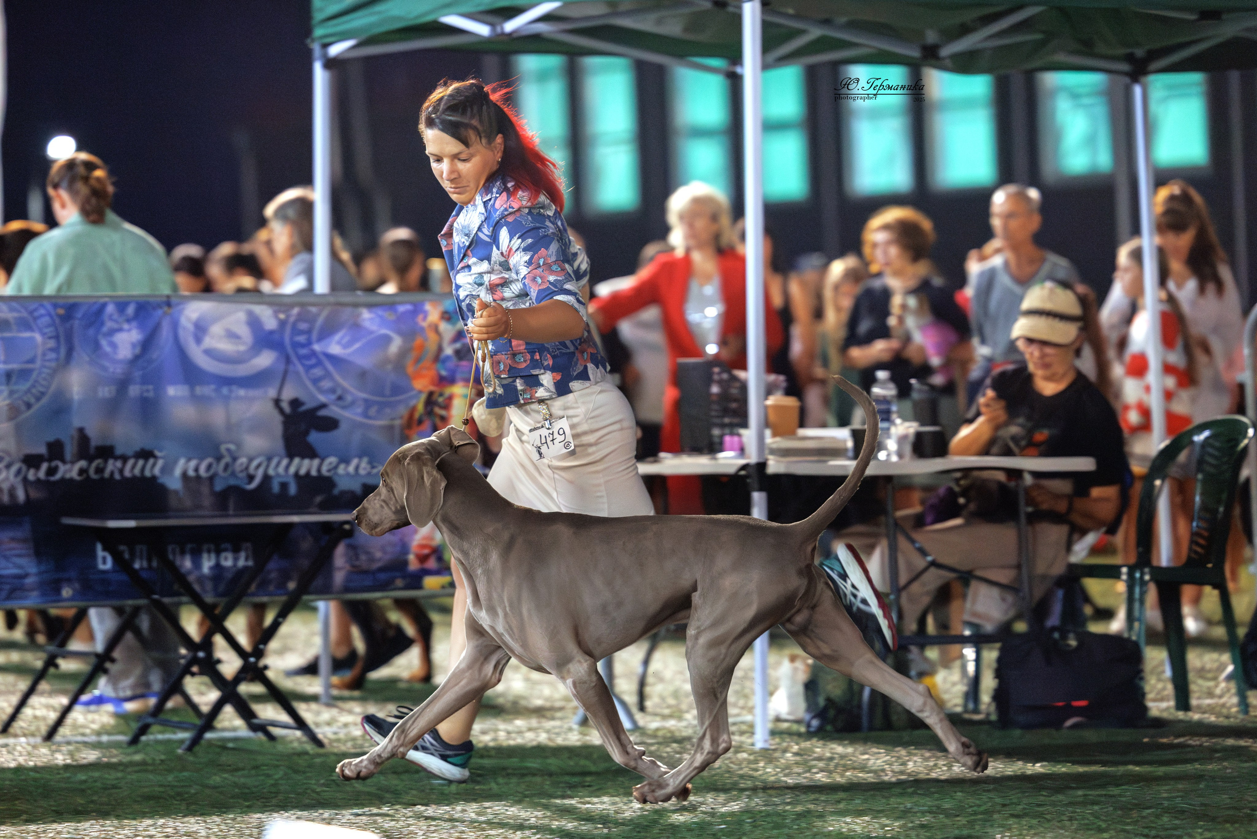 Калининград 25-27.07 Волгоград 1-3.08 2025. Фотограф-анималист Юлия Германика