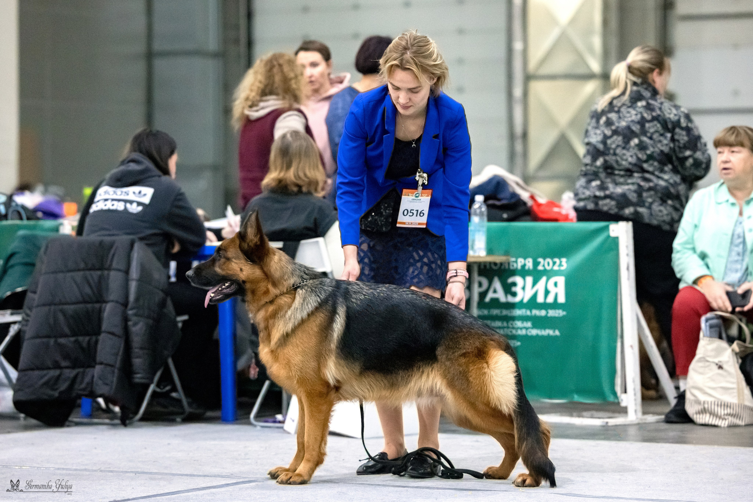 ЕВРАЗИЯ 18-19.11.2023. Фотограф-анималист Юлия Германика
