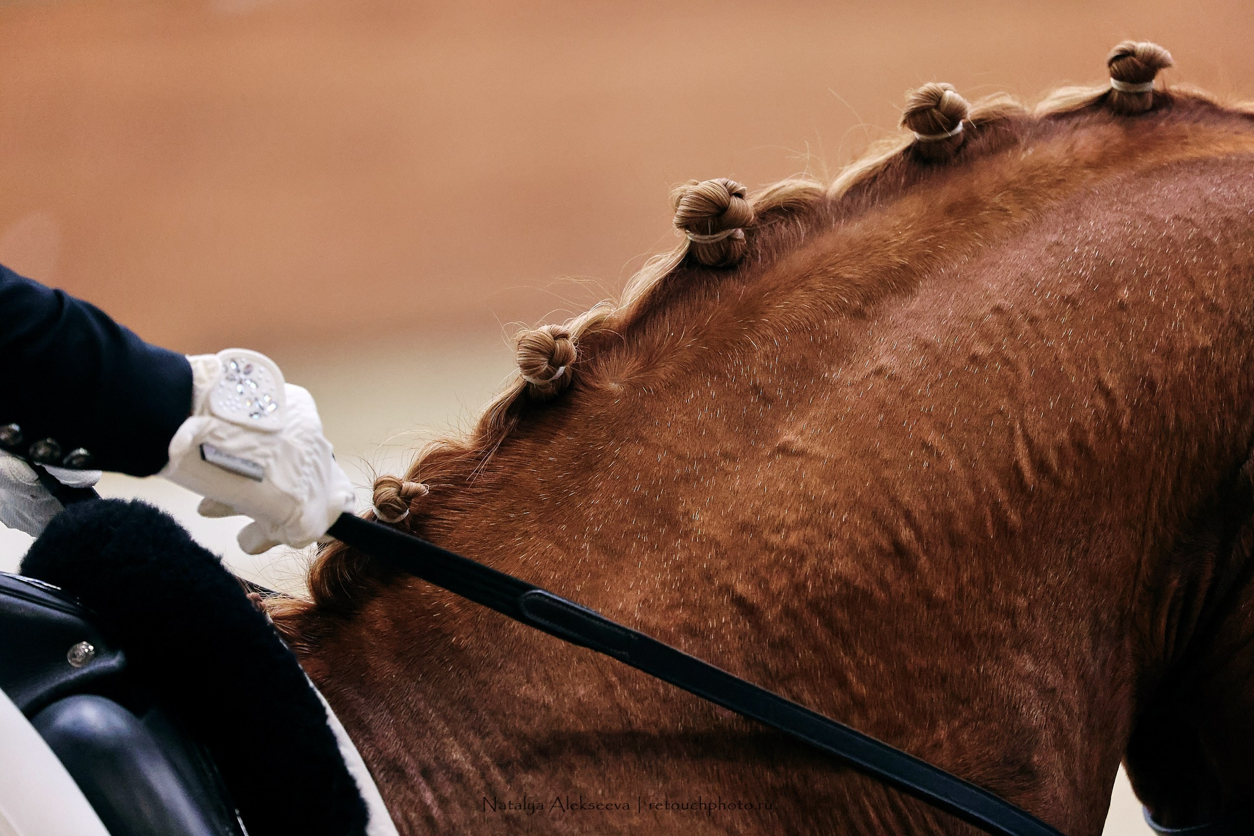 Финал Maxima Park по выездке, Maxima Stables | 10'2023. Репортажный фотограф и ретушер в Москве Наталья Алексеева