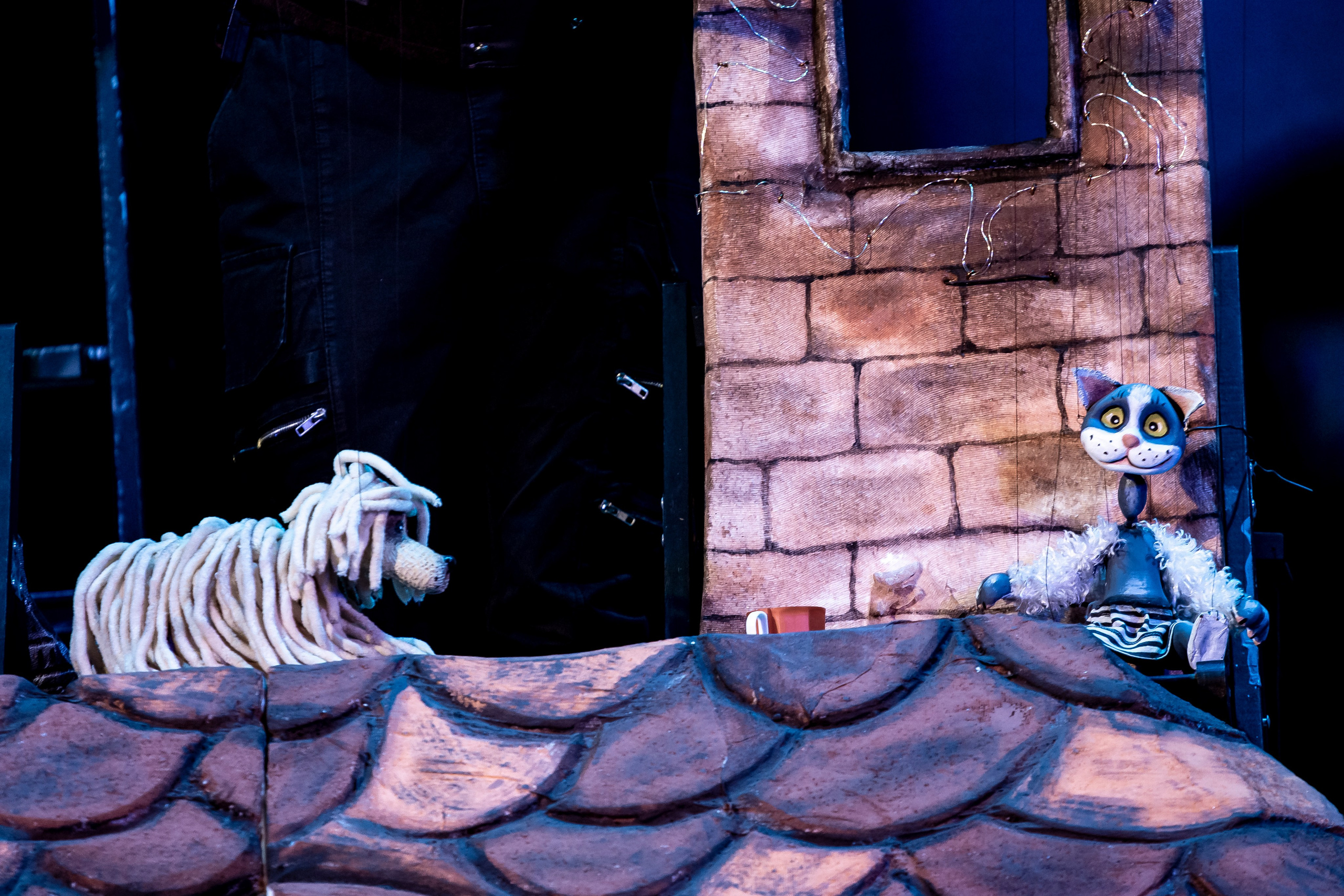 Человек с луны — спектакль кукольного театр Саквояж. Фотограф в Сочи Юрий Шептаев