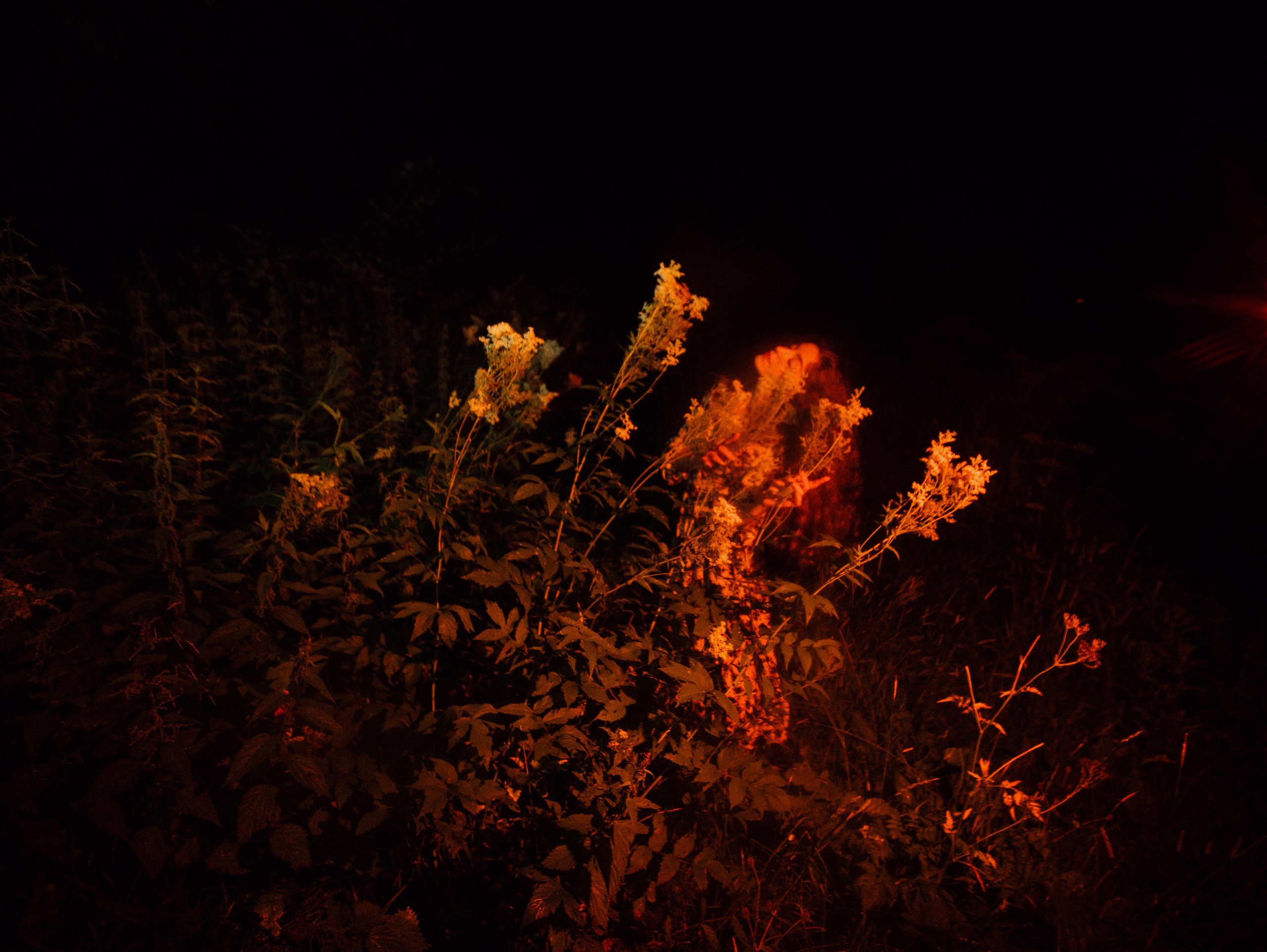 Urban_nymph. Фотограф Мария Немм