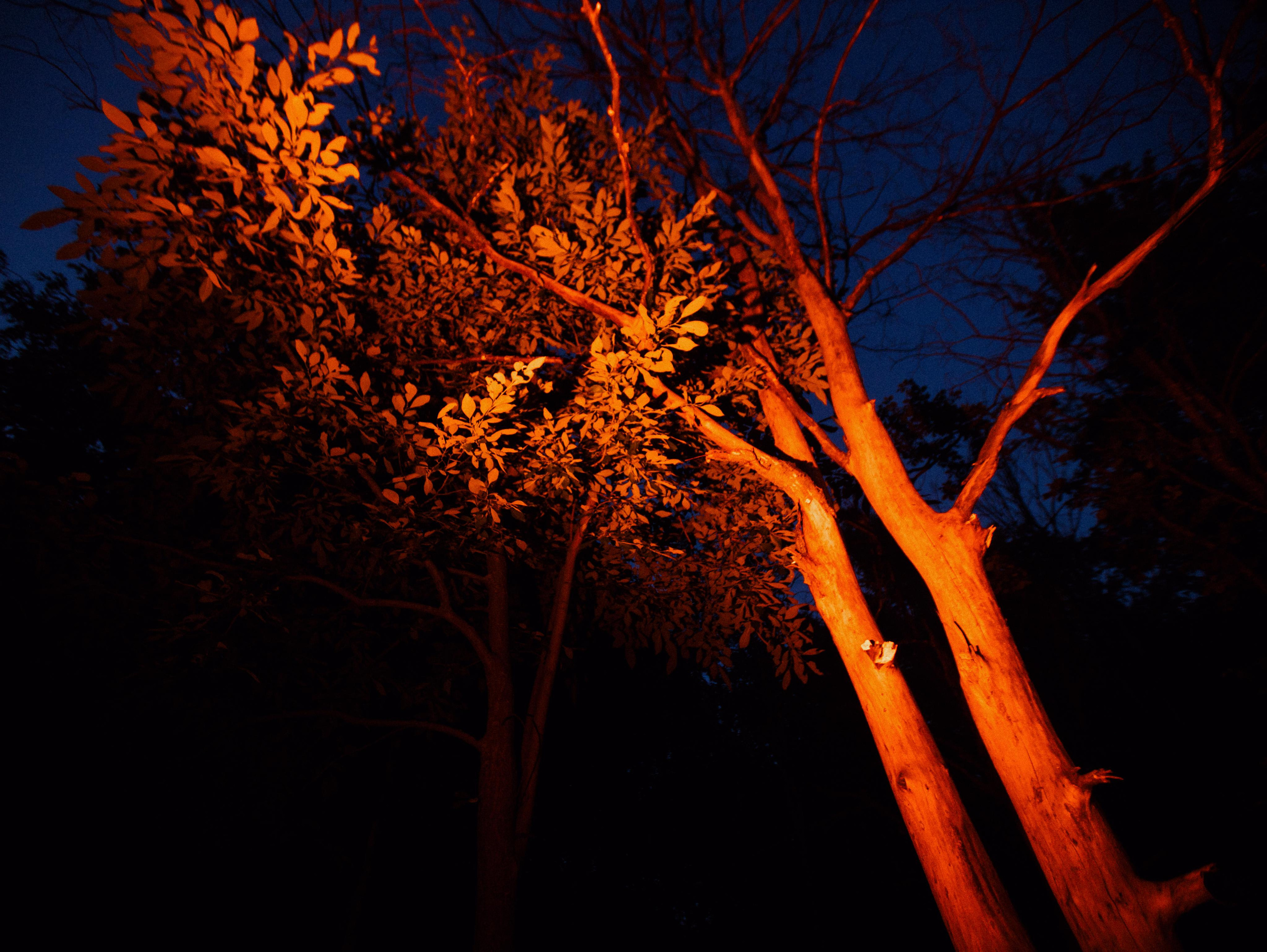 Urban_nymph. Фотограф Мария Немм