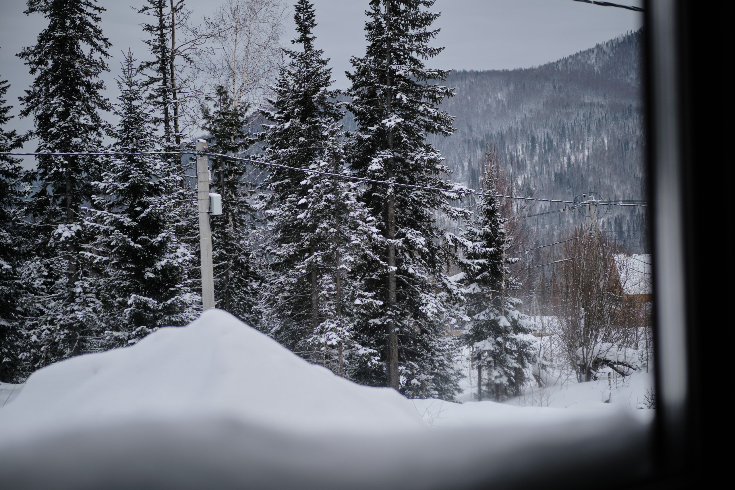 Цветочная ½. Свадебный и семейный фотограф в Новокузнецке Иван Иванов