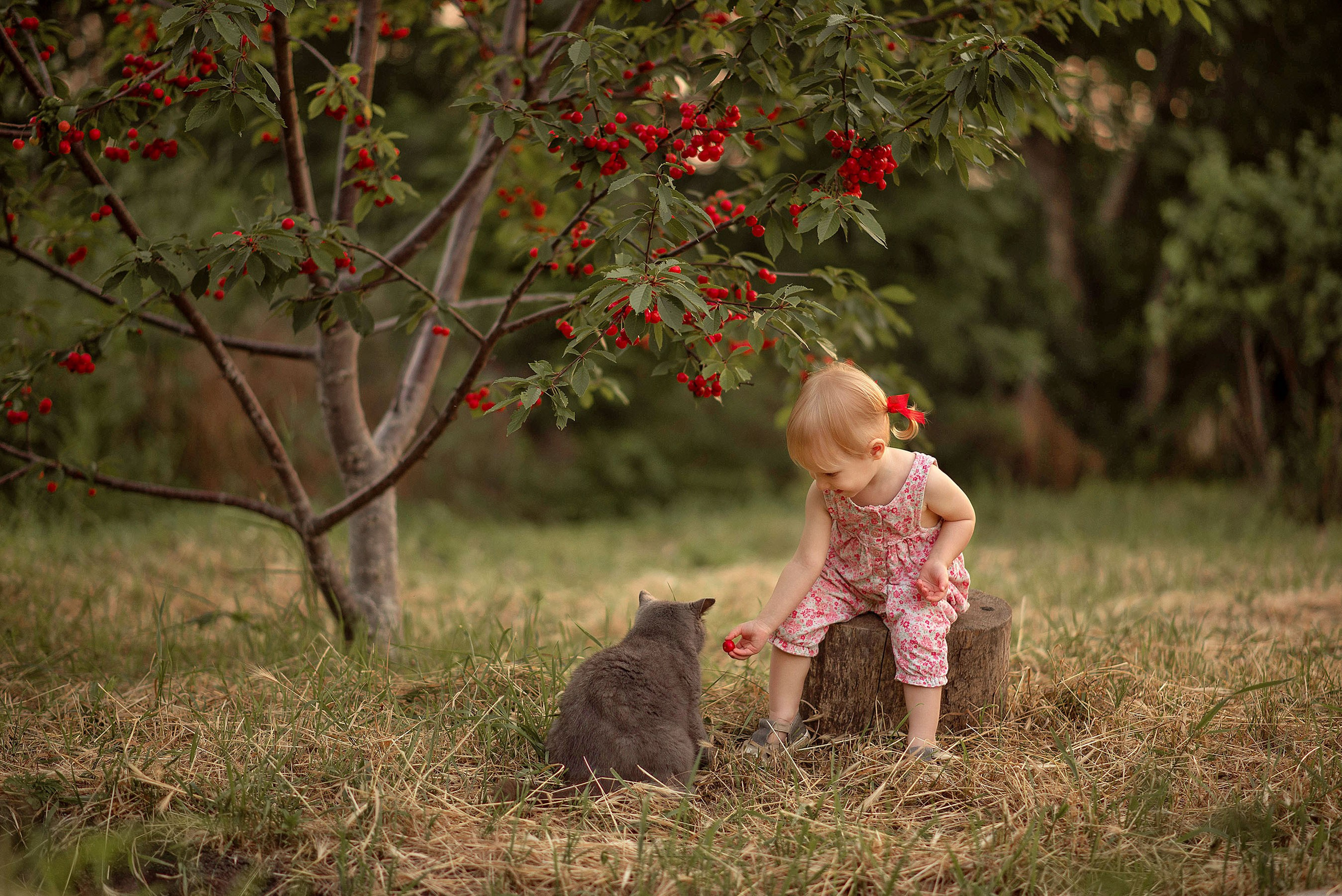 Портфолио. Семейный и детский фотограф Наташа Куршина. Новороссийск|Краснодар