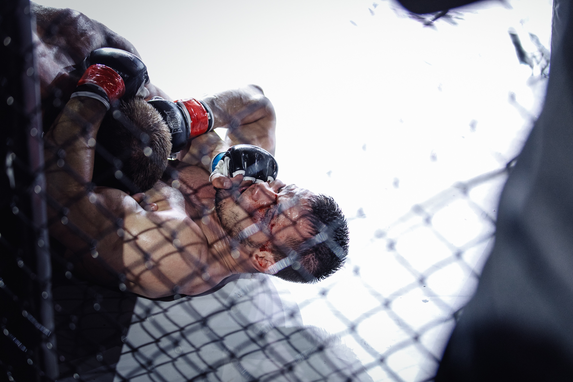 Sport. Репортажный фотограф Александр Задорин, Минск, Беларусь