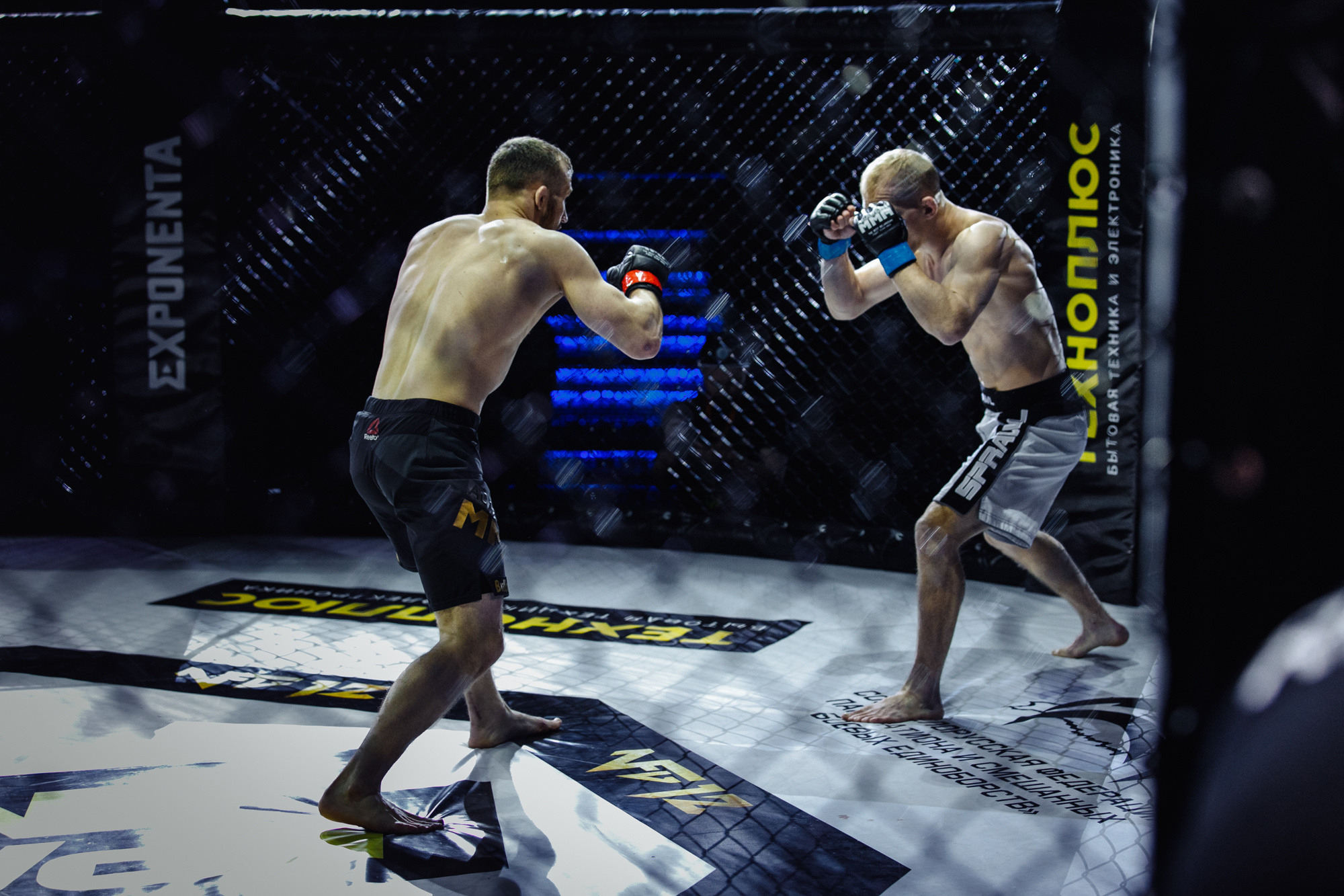 Sport. Репортажный фотограф Александр Задорин, Минск, Беларусь