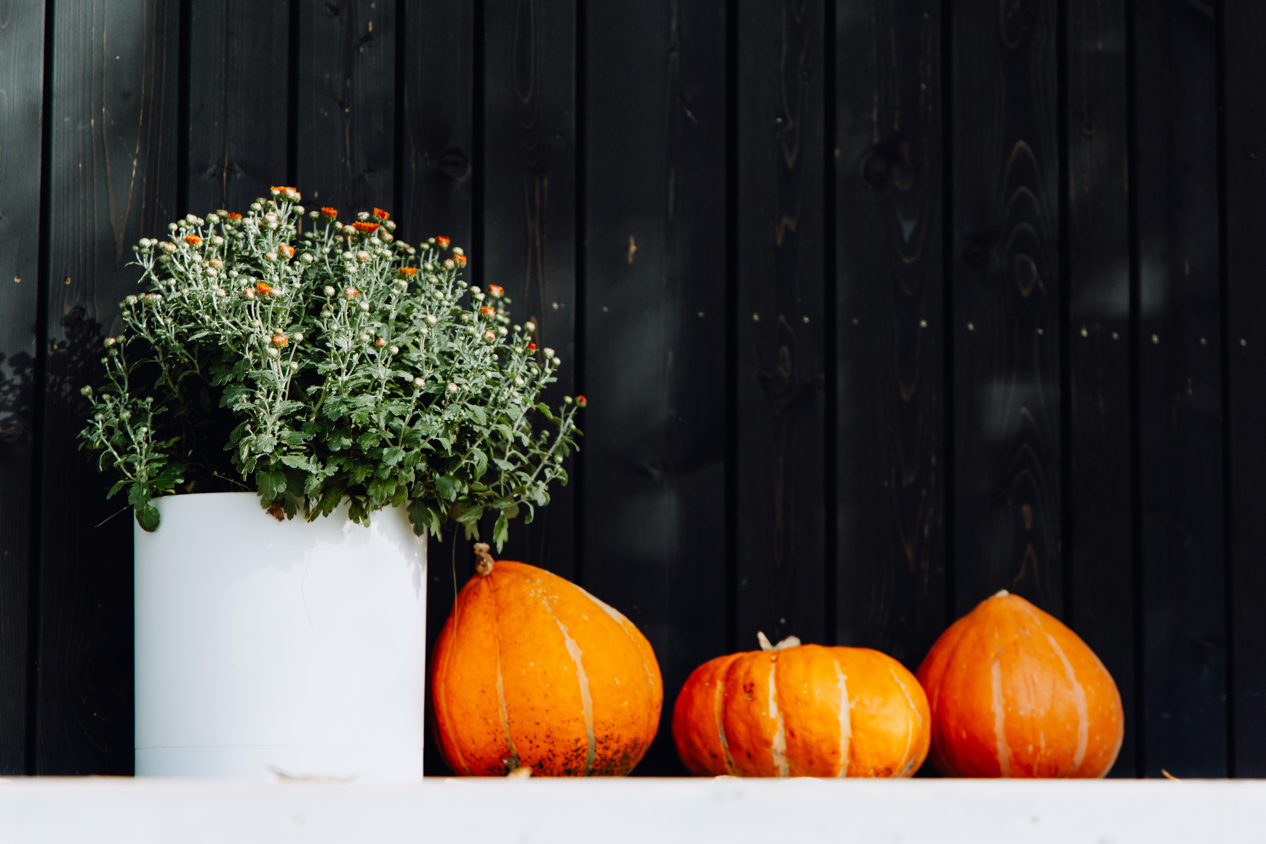 Семейная фотосессия в Чернянке. Фотограф Максим Никонов