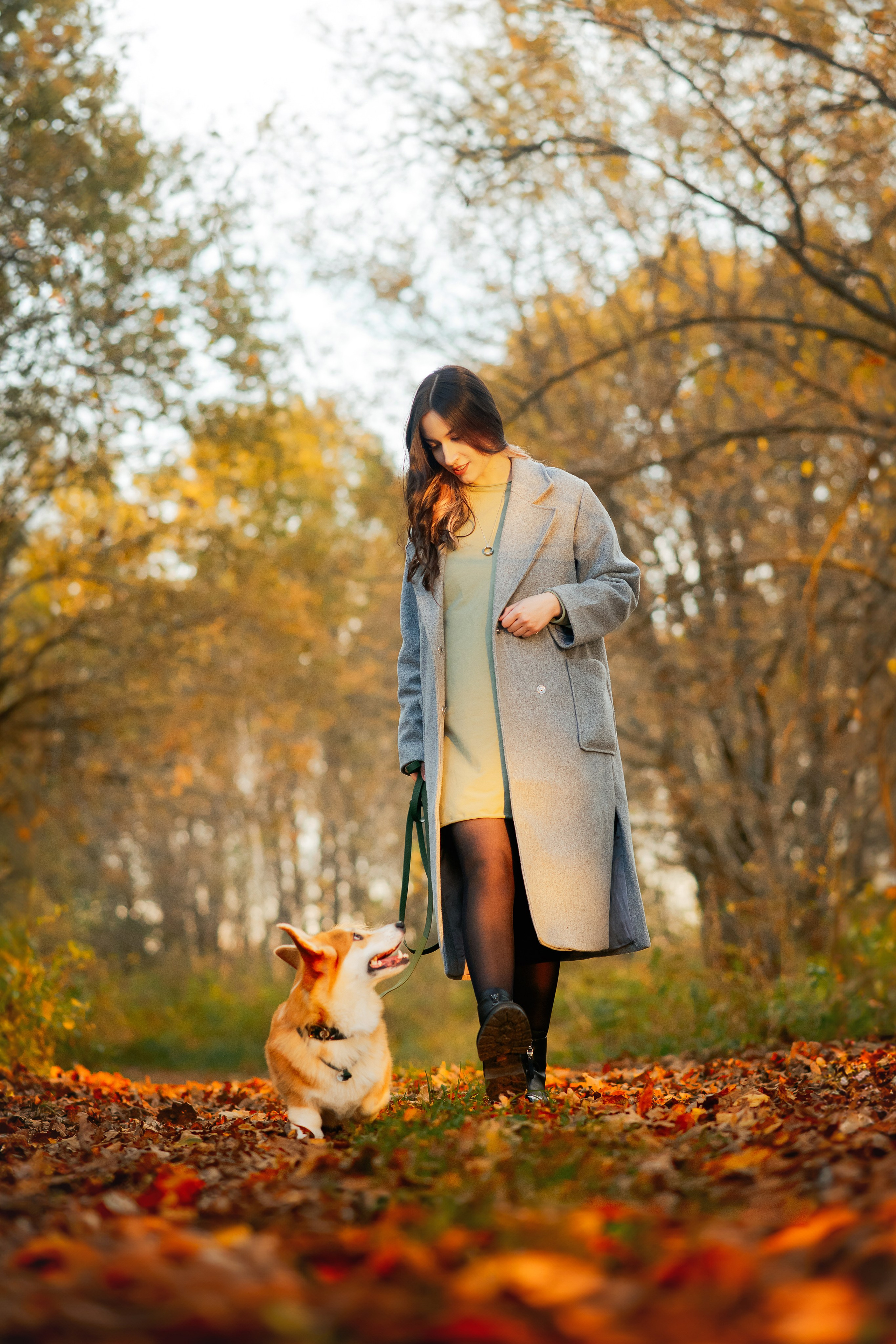 Максим, Надя, Рой и Шелби — 13.10.2024. Фотограф — Анималист | Анна Абрамова