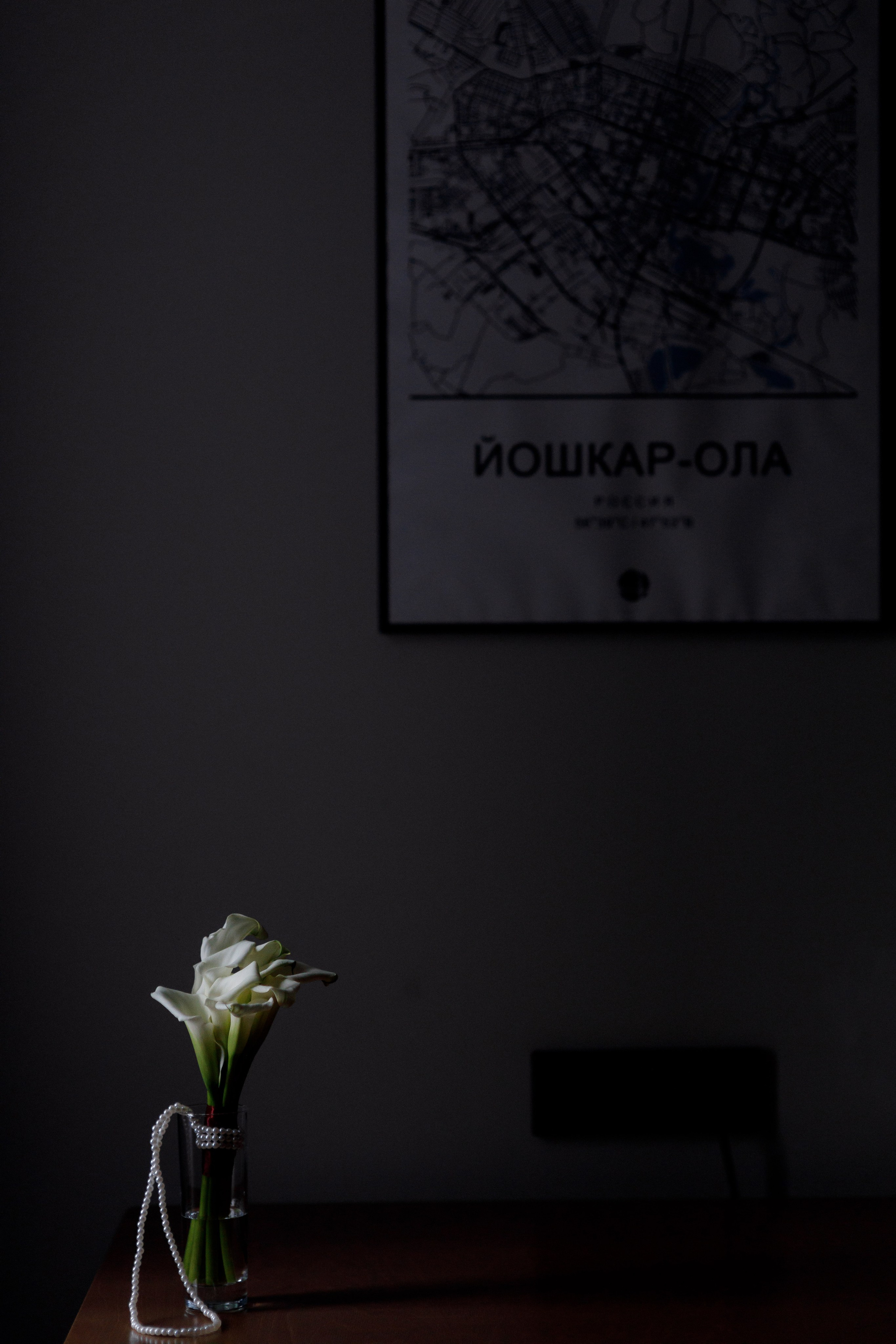 Александра и Николай. Фотограф Дарья Норкина