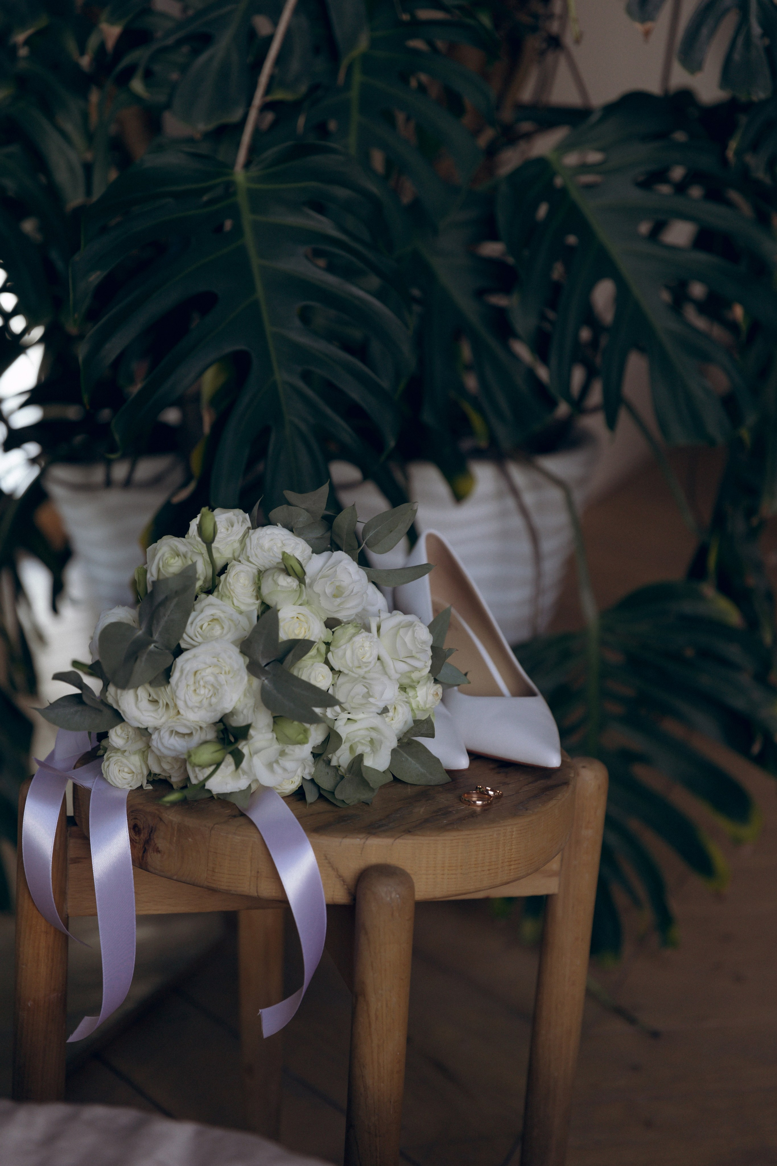 Дмитрий и Снежана, 1/11/2024. Свадебный  и семейный фотограф в Краснодаре