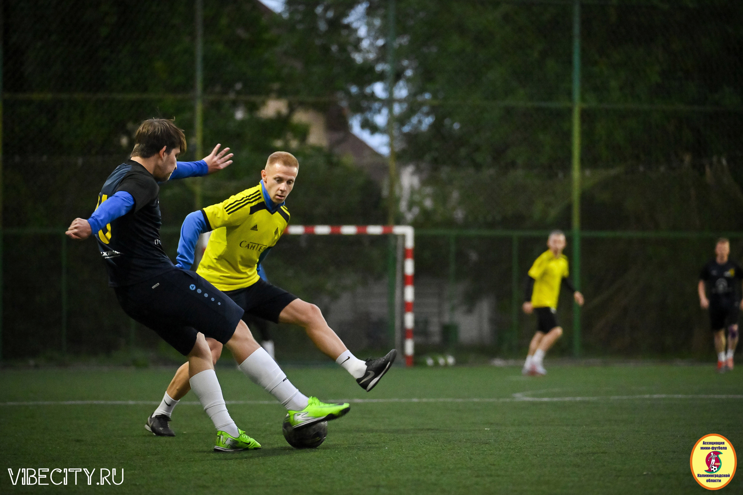 ИГРЫ МИНИ-ФУТБОЛЬНОЙ И КОРПОРАТИВНОЙ ЛИГИ. VIBECITY.RU Вайб Сити Ру Фоторепортажи Фотоотчеты Калининград