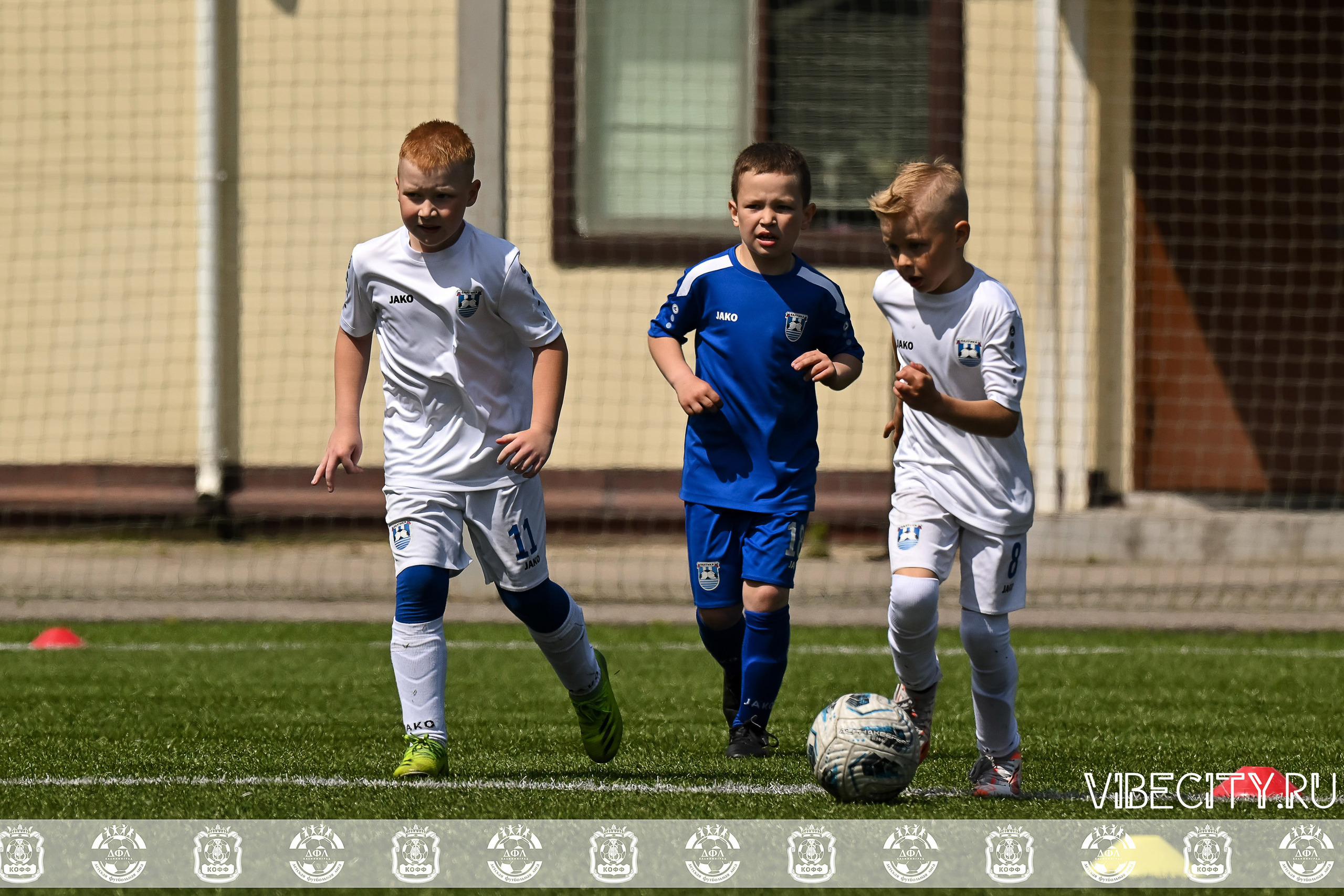 Большие Звезды светят Малым. VIBECITY.RU Вайб Сити Ру Фоторепортажи Фотоотчеты Калининград