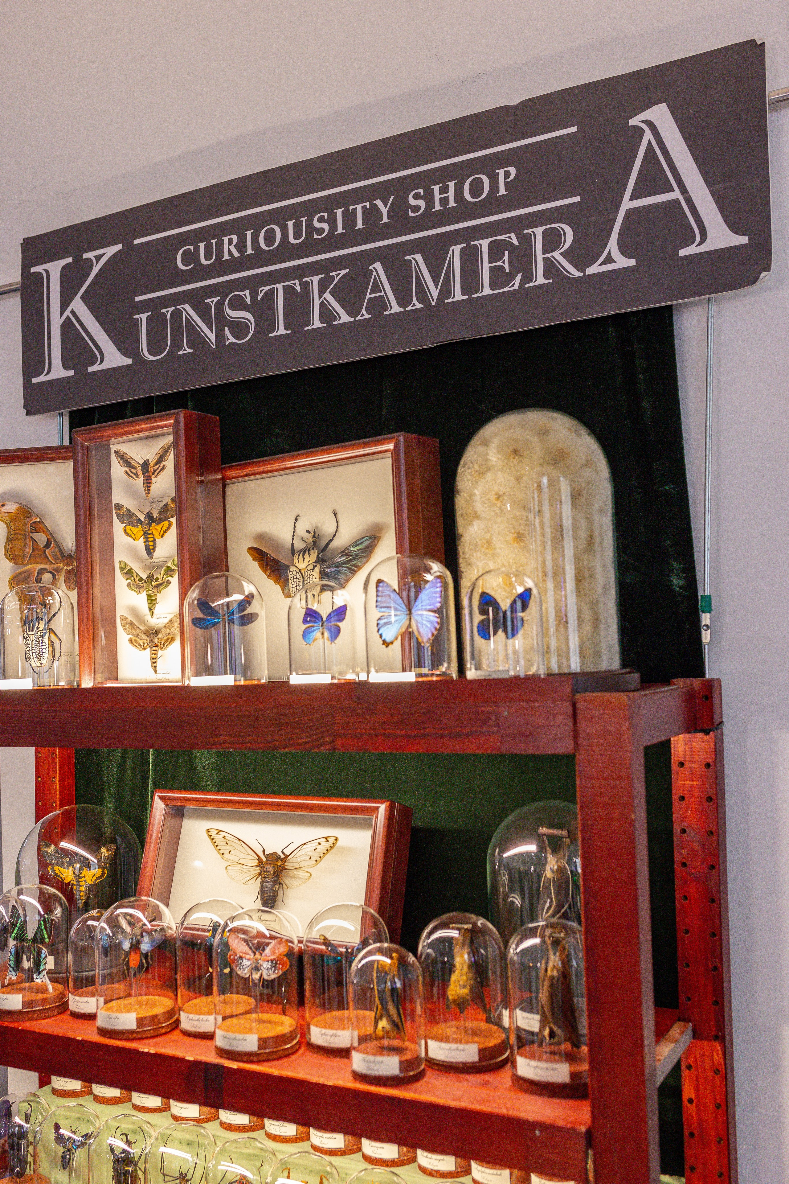 Монстериум 11–12 октября. Александра Куликова фотограф, Москва