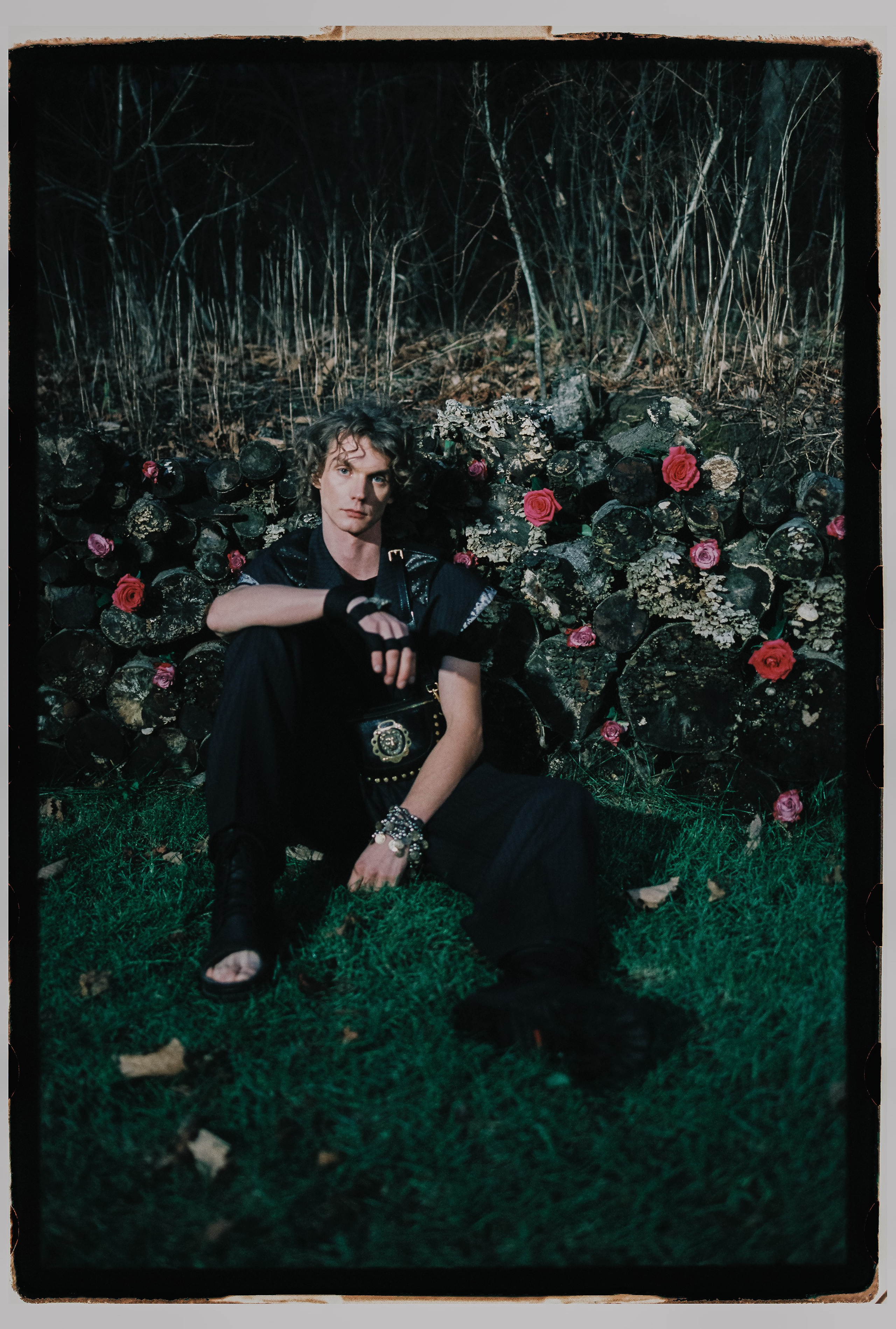 Лесной променад