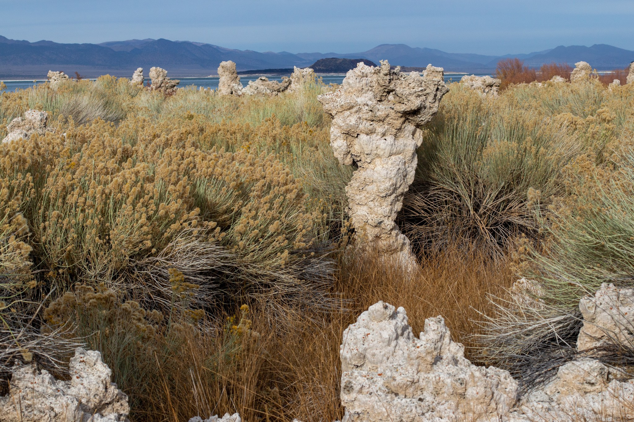 Озеро МОНО, США, 2013. Фотограф Василий Буланов