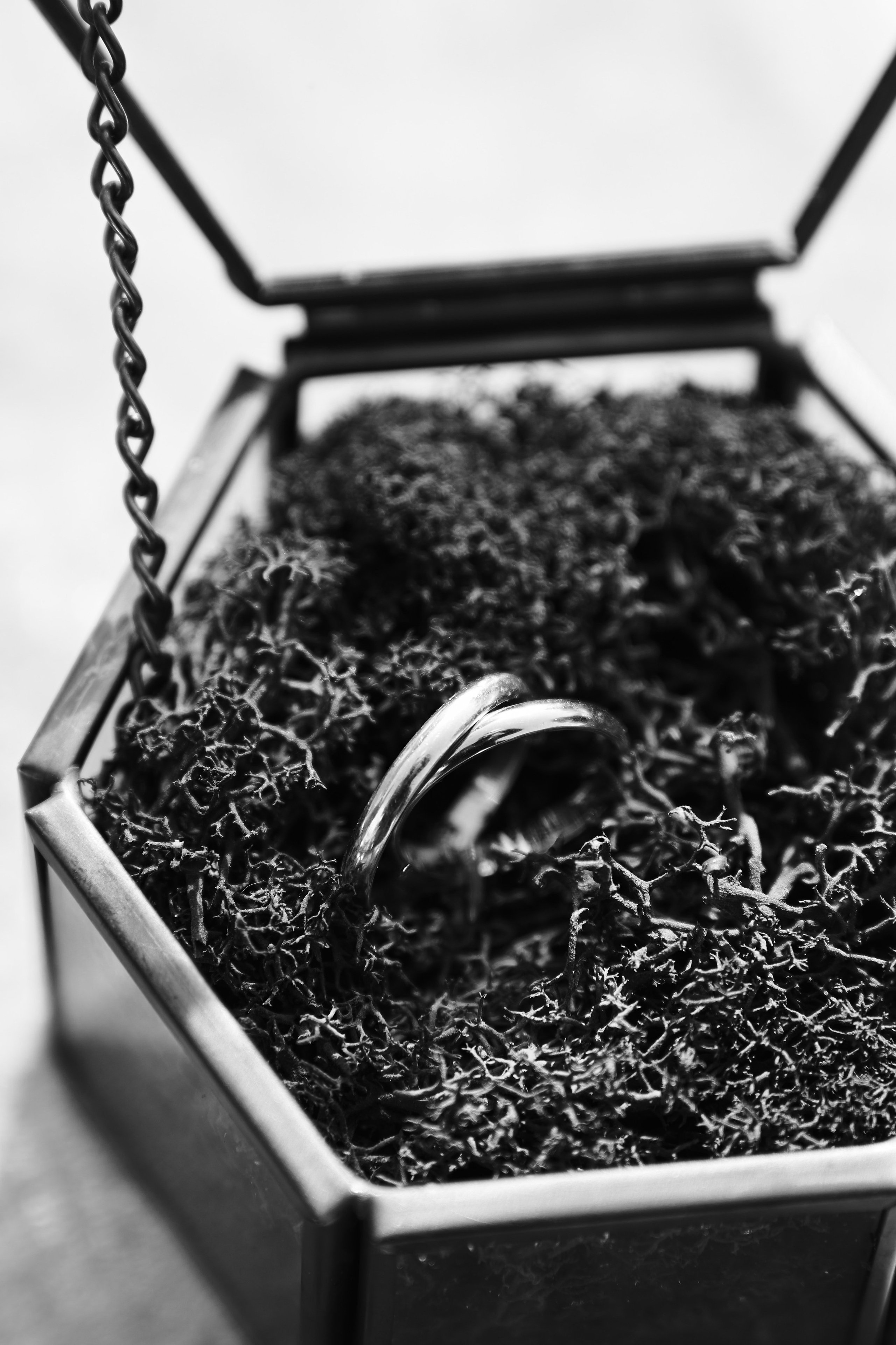 Настя и Антон. Репортажной фотограф Ариан