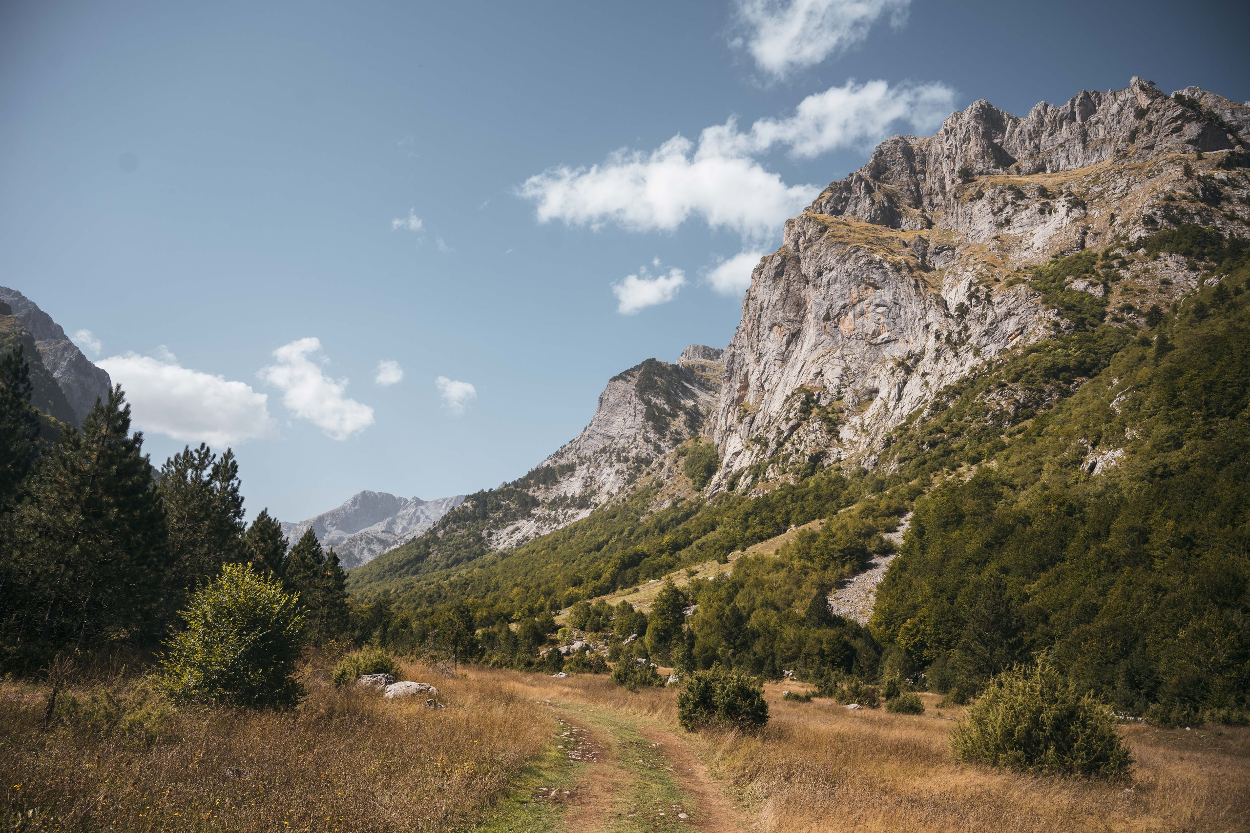 ДОЛИНА РАПОЯНА. ЧЕРНОГОРИЯ. Фотограф в Белграде Чугреева Елена