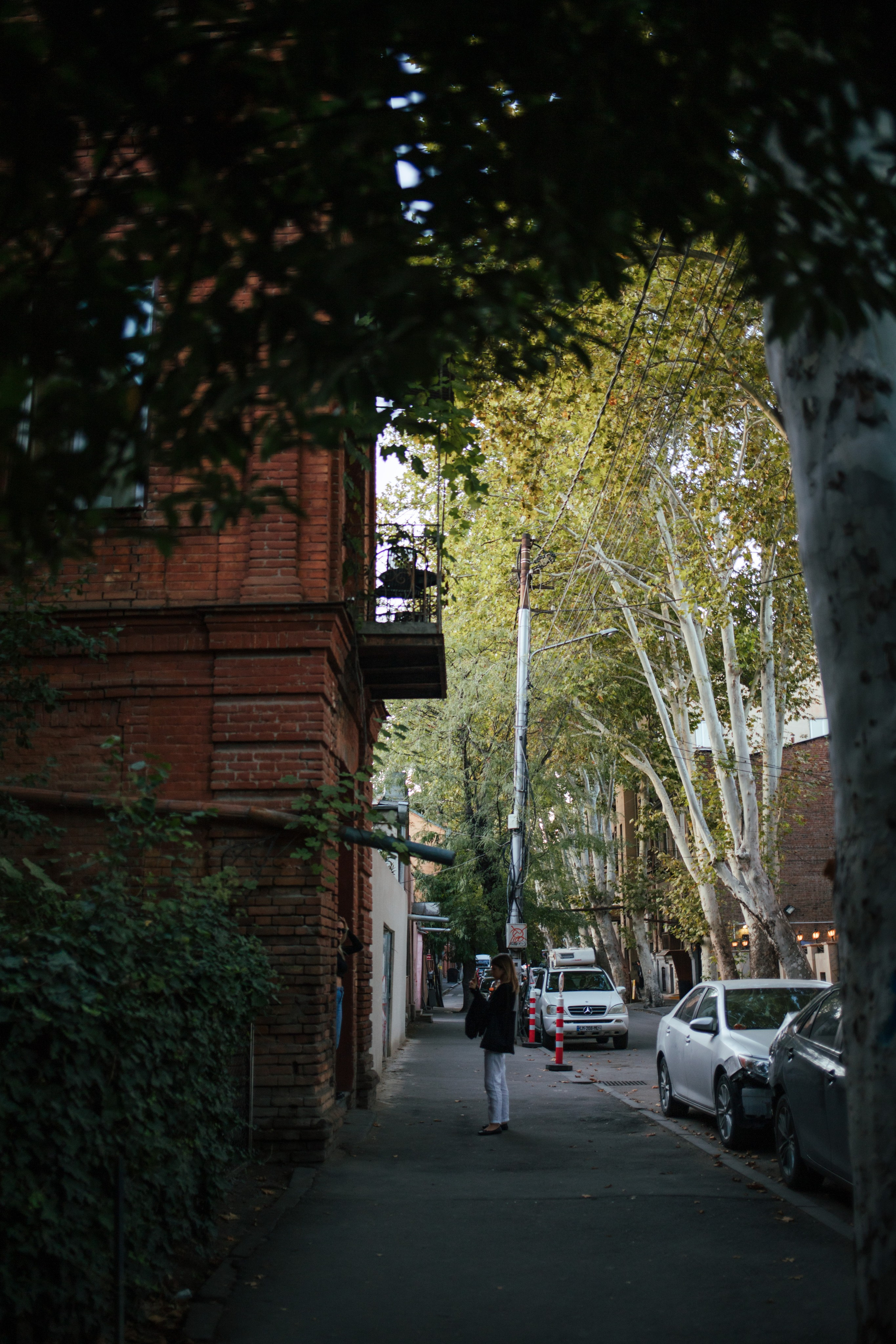 Tbilisi, Georgia. Photographer Alina Skitovich