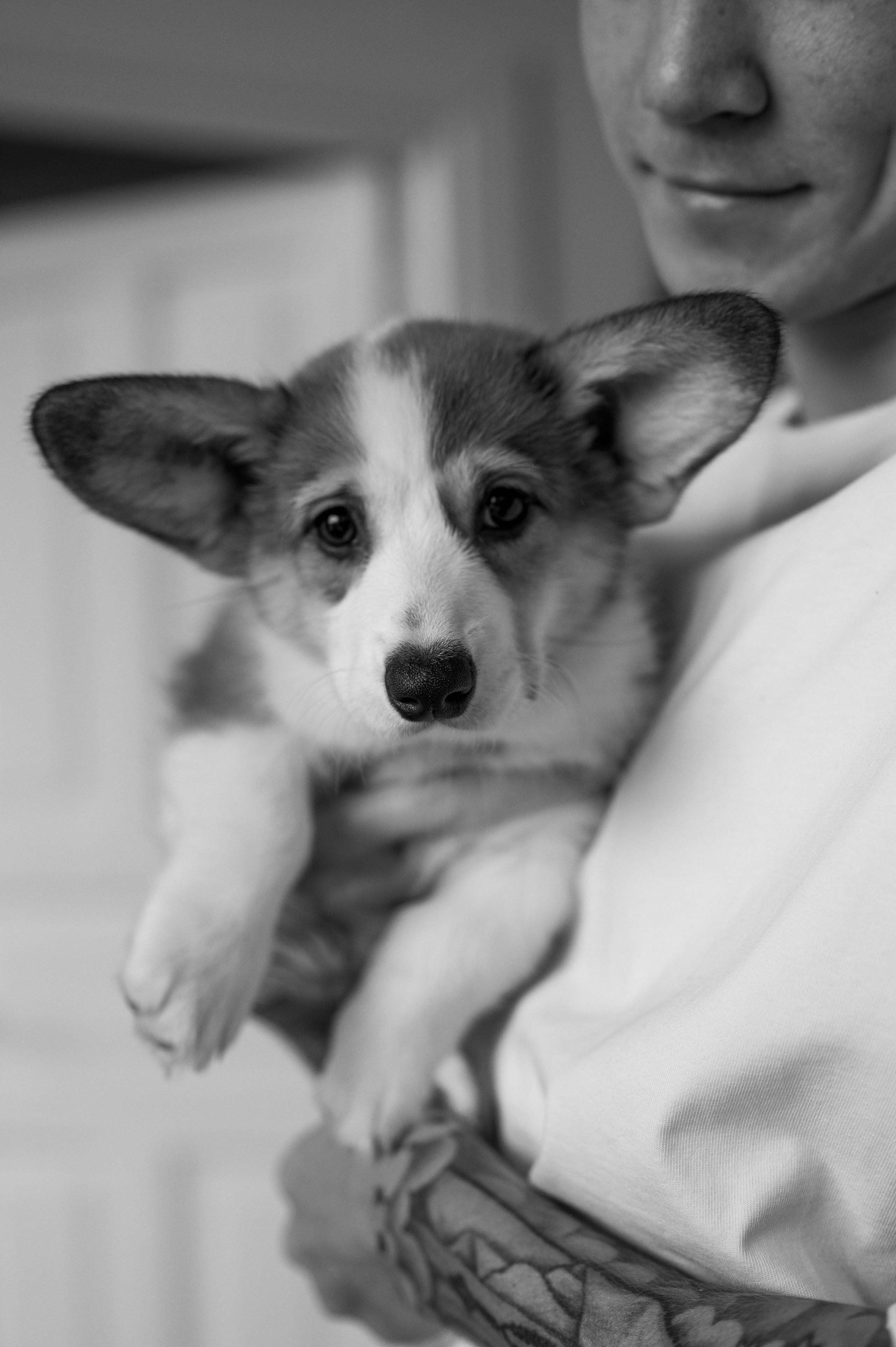 Миша, Маша и Боня. Свадебный и семейный фотограф в Краснодаре Алина Мельник