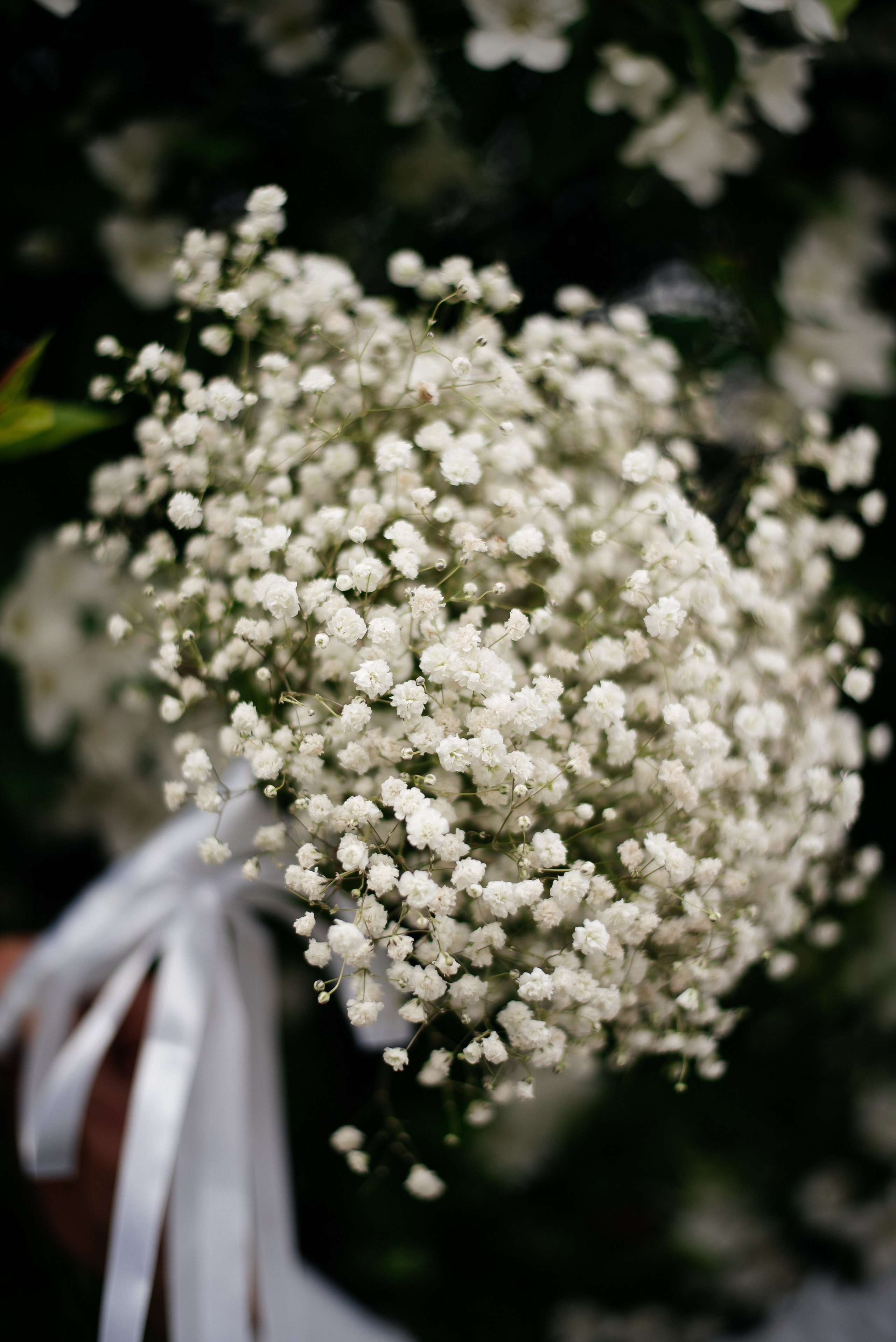 Свадьбы. Фотограф Екатерина Ридняк