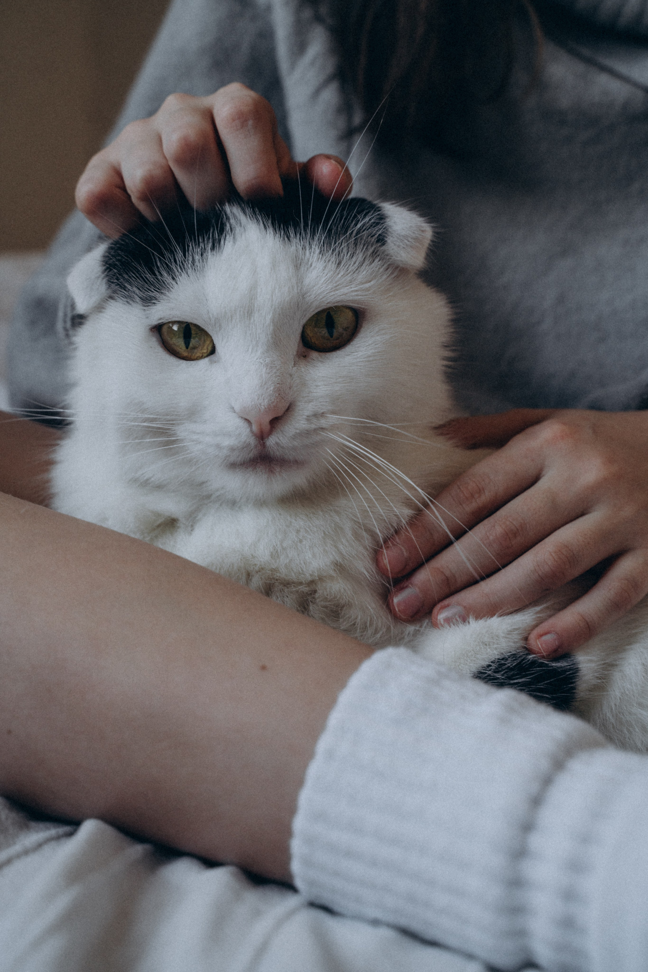 Сестры. FotoTanya. Раменское/Жуковский/Бронницы