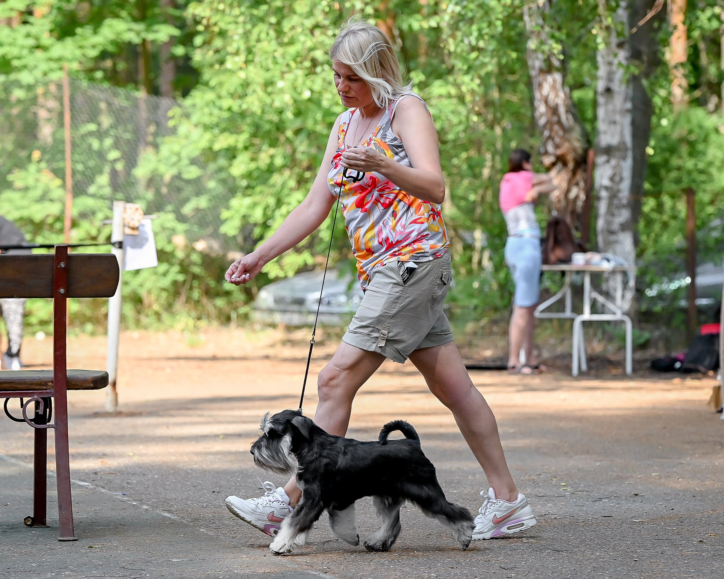 Питомник Делинсо Бэлэнс, щенки цвергшнауцера, купить щенка цвергшнауцера, питомник цвергшнауцеров, кобель цвергшнауцера для вязки, щенок цвергшнауцера, питомник цвергшнауцеров, черный с серебром, цверг, лучший питомник в беларуси