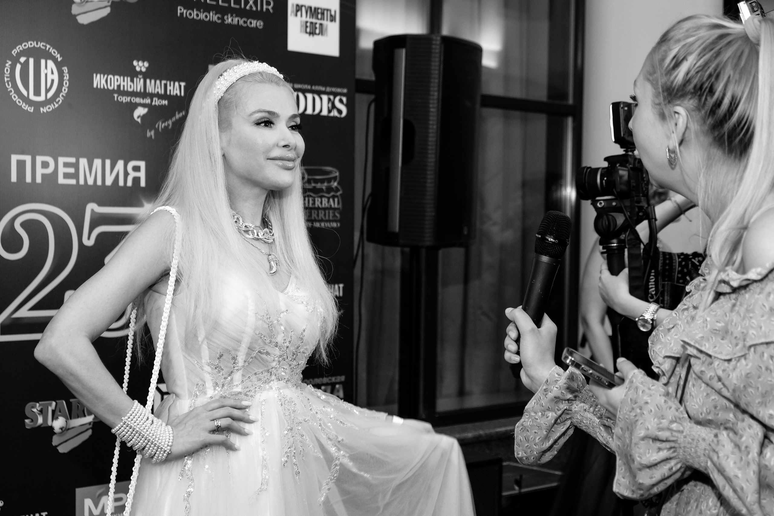 RUSSIAN MUSIC BOX Премия Золотой хит. Фотограф женского портрета и репортажной съёмки Алексеева Анна г. Москва