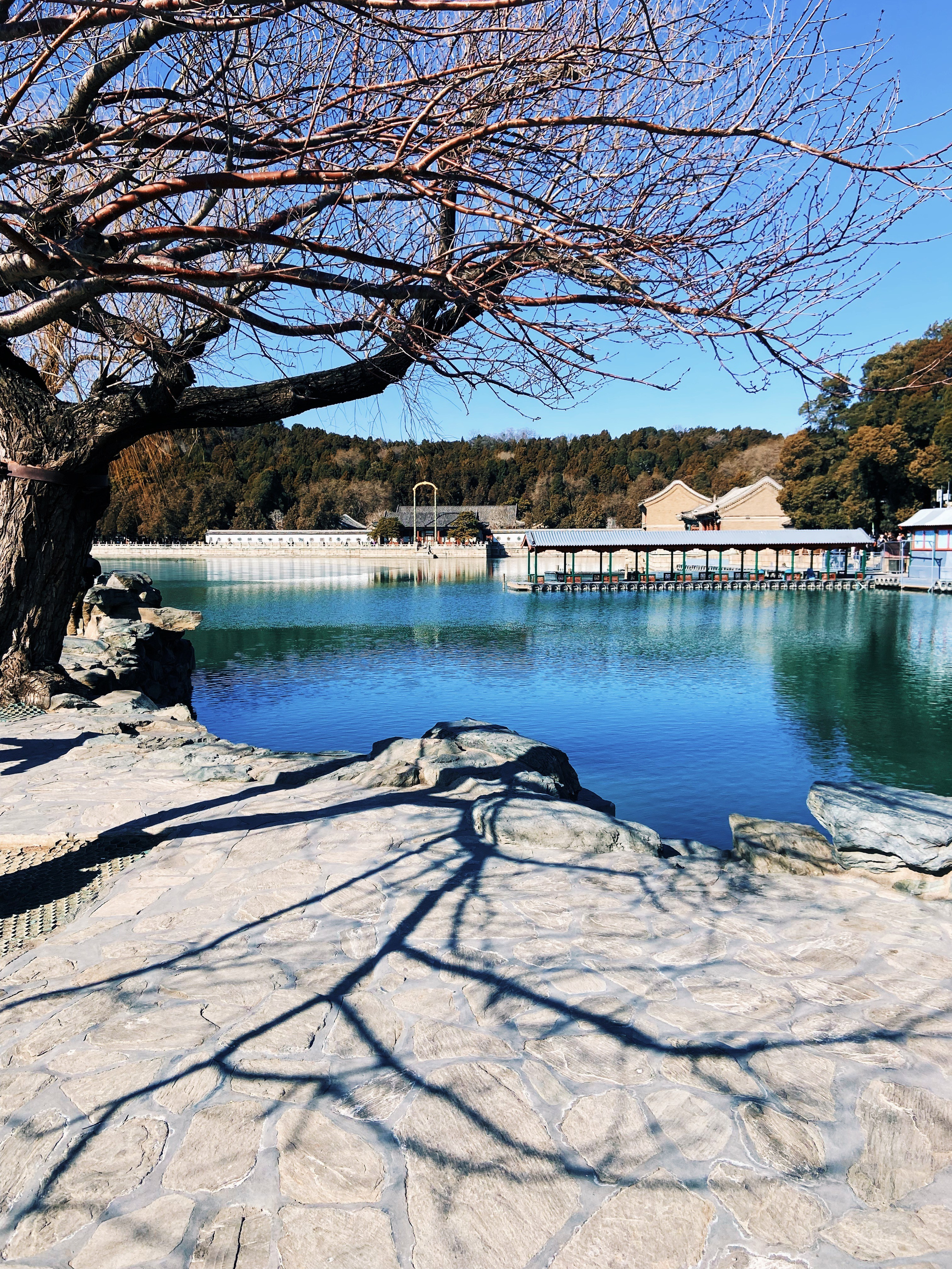 Китай'25: Пекин-Сиань-Шанхай. Фотограф-портретист в Москве