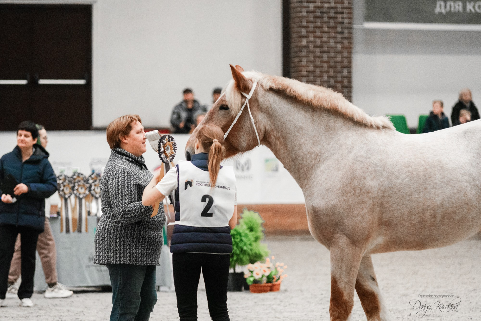 8-я международная выставка Конная Россия. Конный фотограф Куракина Дарья • Фотосессии с лошадьми