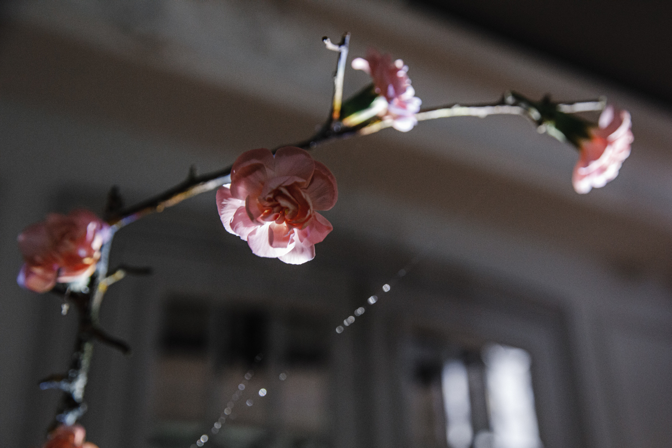 Ksusha & Nikita. Фотограф Илья Бурдун