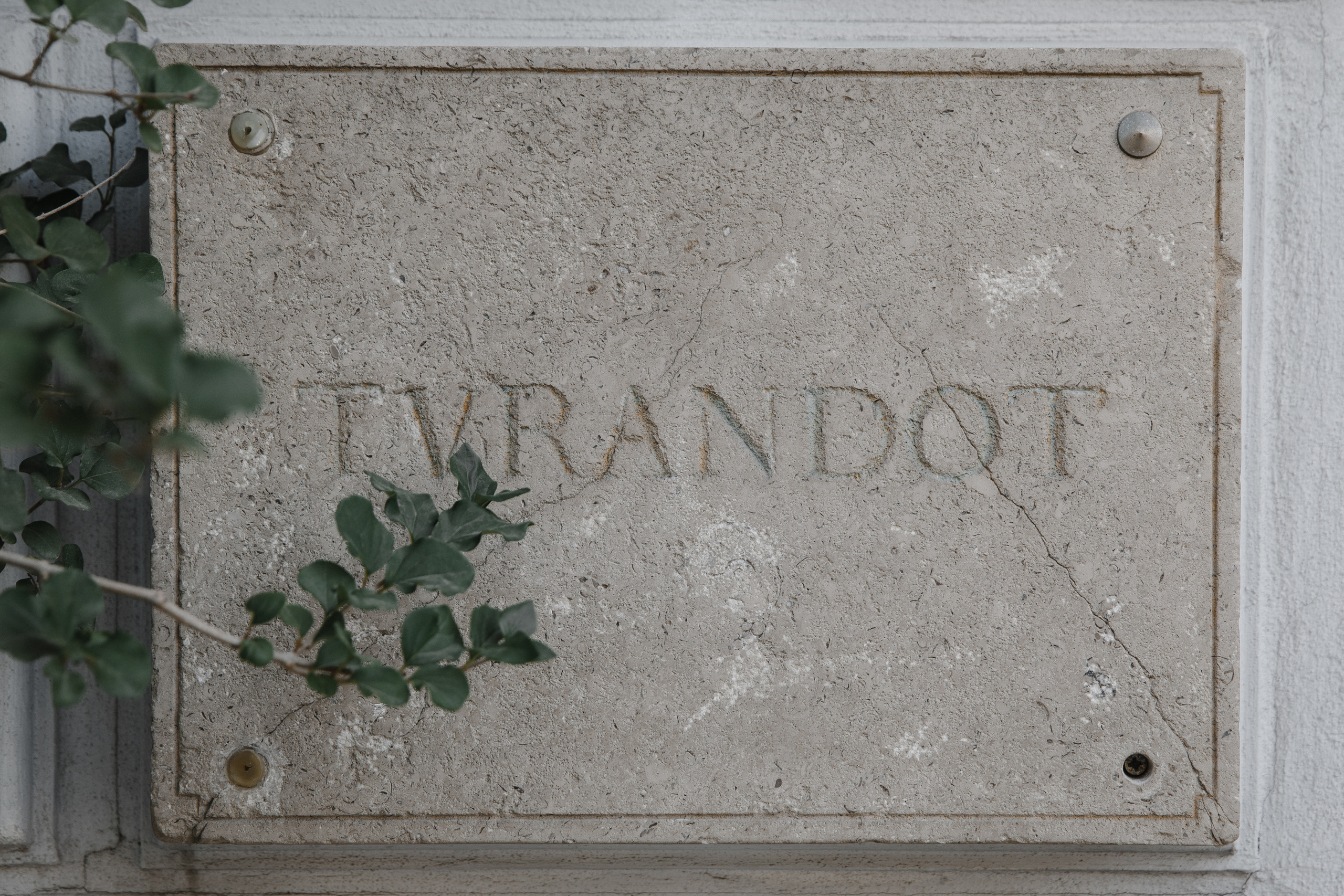 4 Свадьбы Карина и Алексей. Фотограф Илья Бурдун