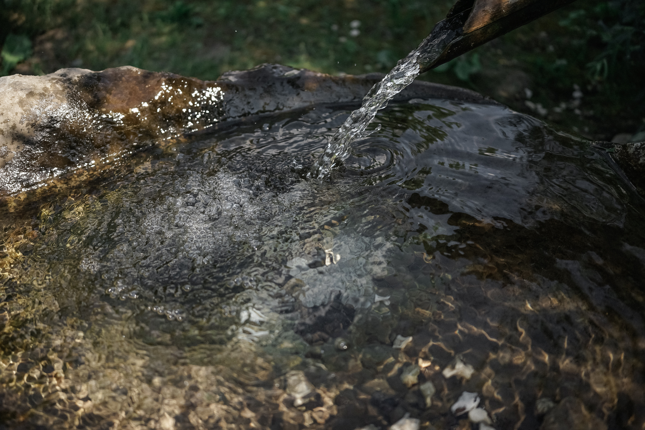 WelnaPark. Свадебный фотограф AllexD в Москве, Санкт-Петербурге