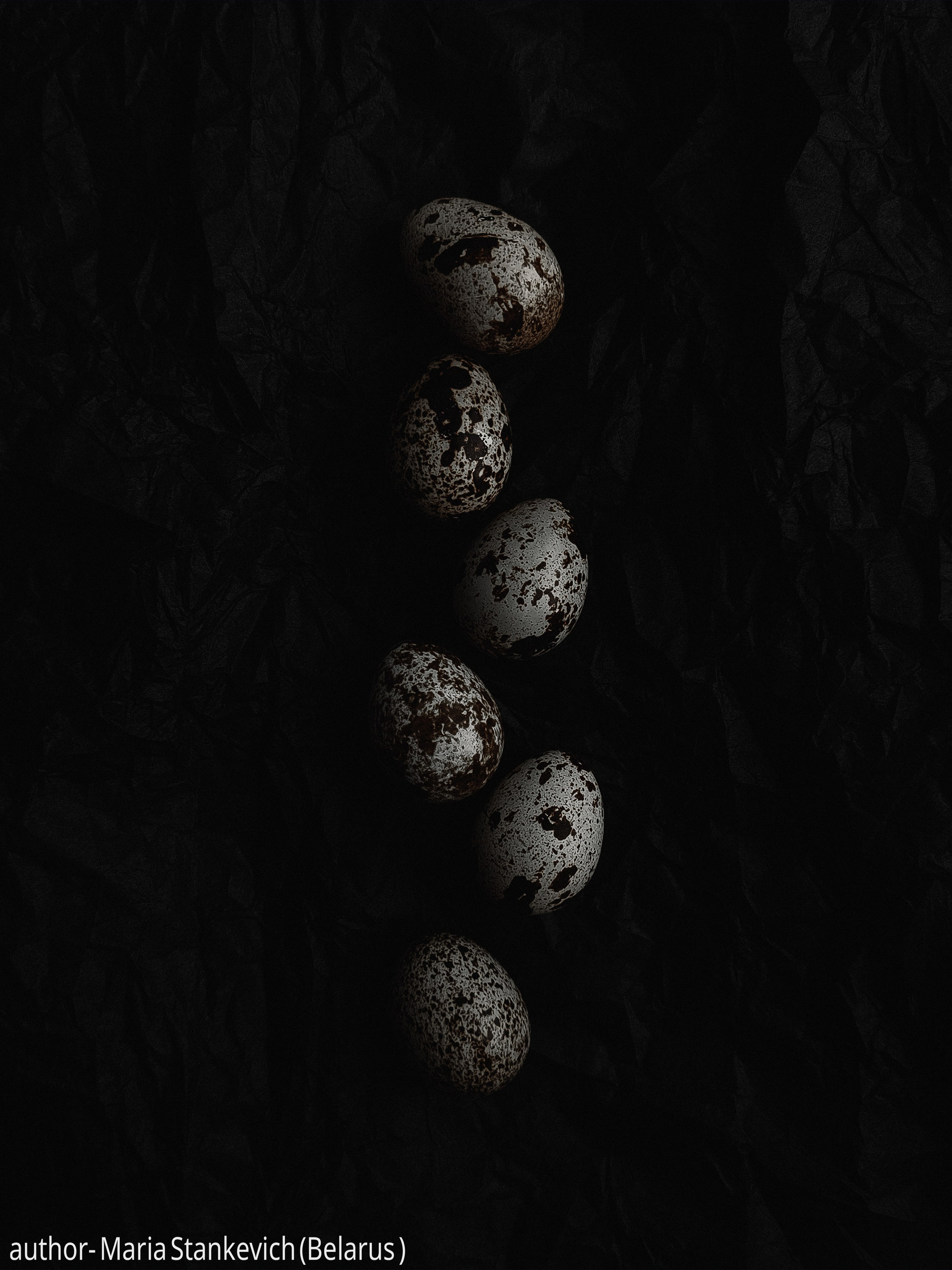 Gallery. UNUSUAL TALENT magazine