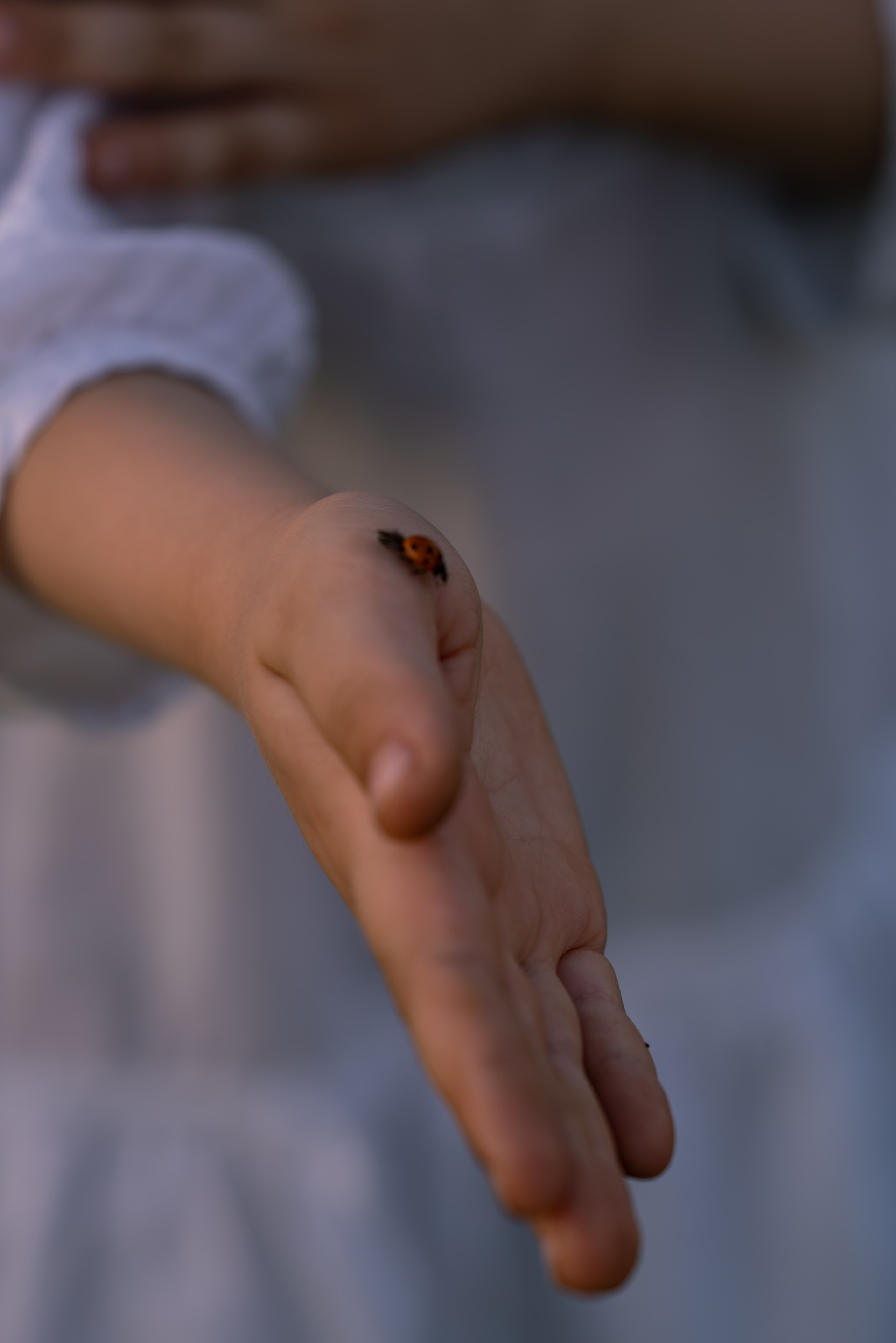 Сёстры. Ангелина & Эвелина. Свадебный и семейный фотограф в Миллерово и Ростове Алёна Черепенина