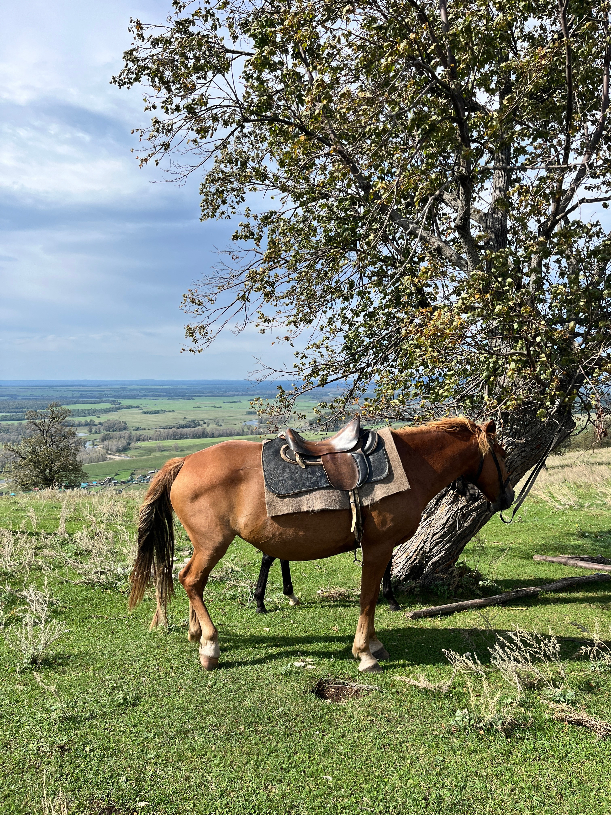 Фото с конных туров — Время приключений