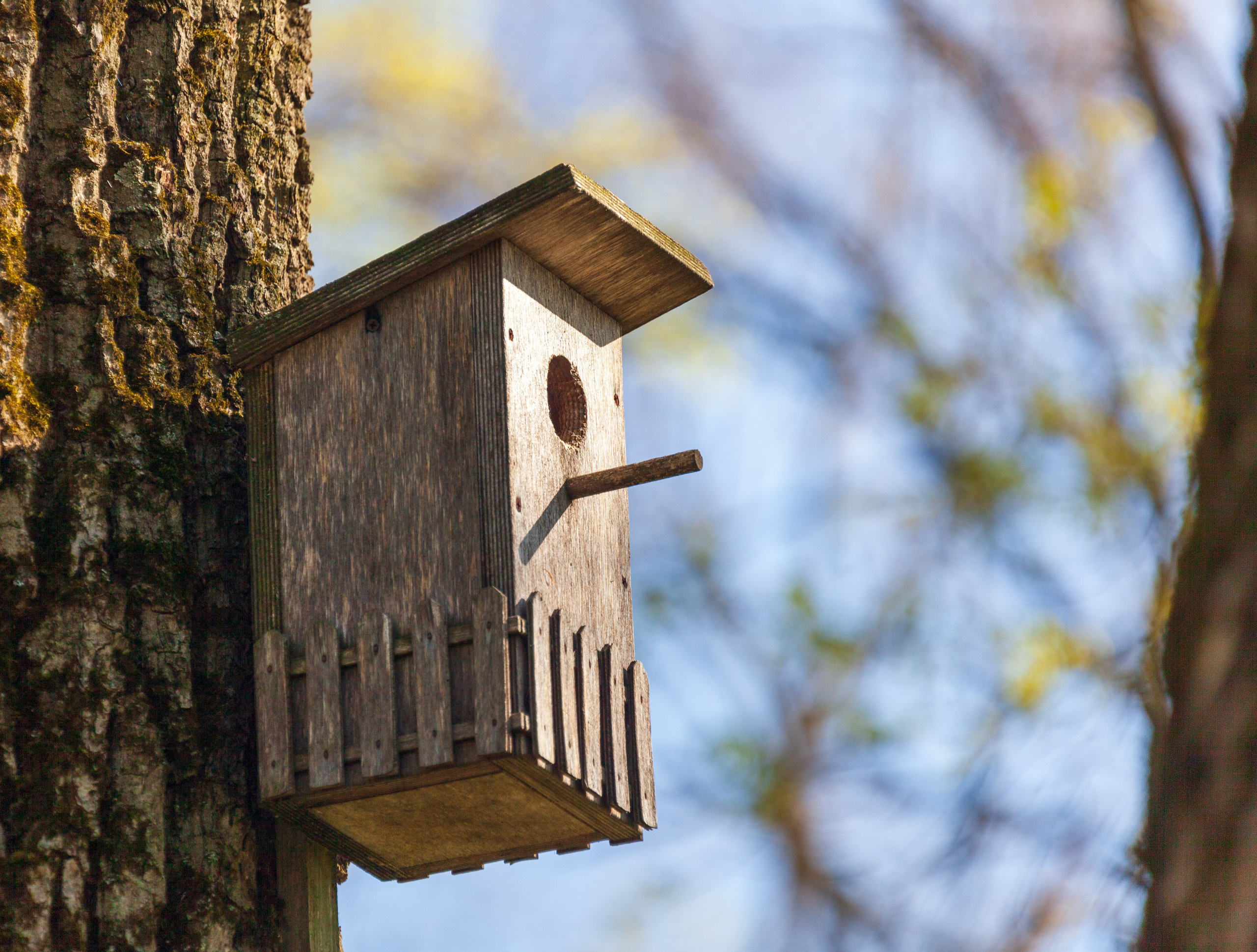 Тропинки детства. Фотохудожник Артём Парамонов