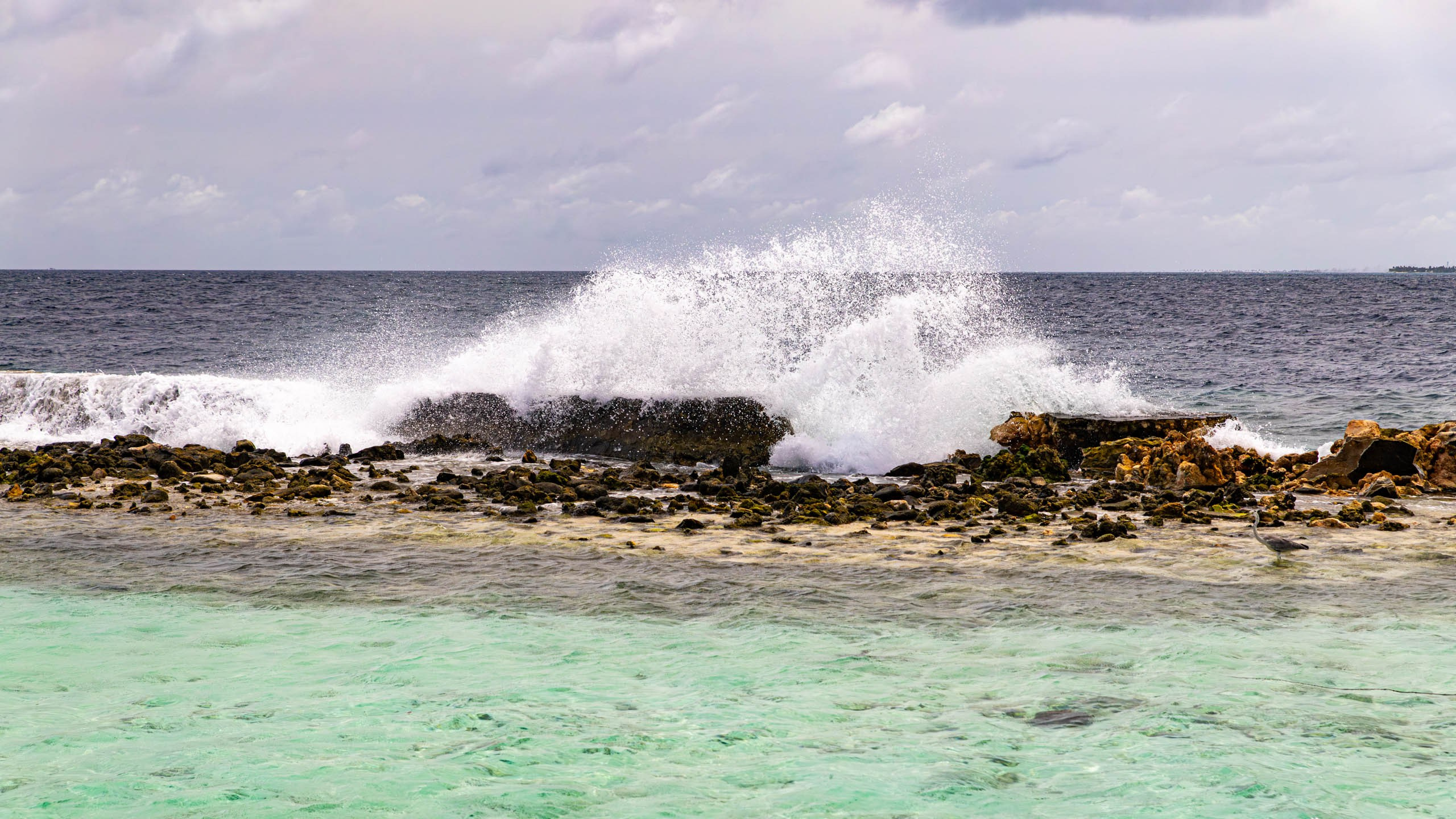 Мальдивы, Ellaidhoo Maldives by Cinnamon