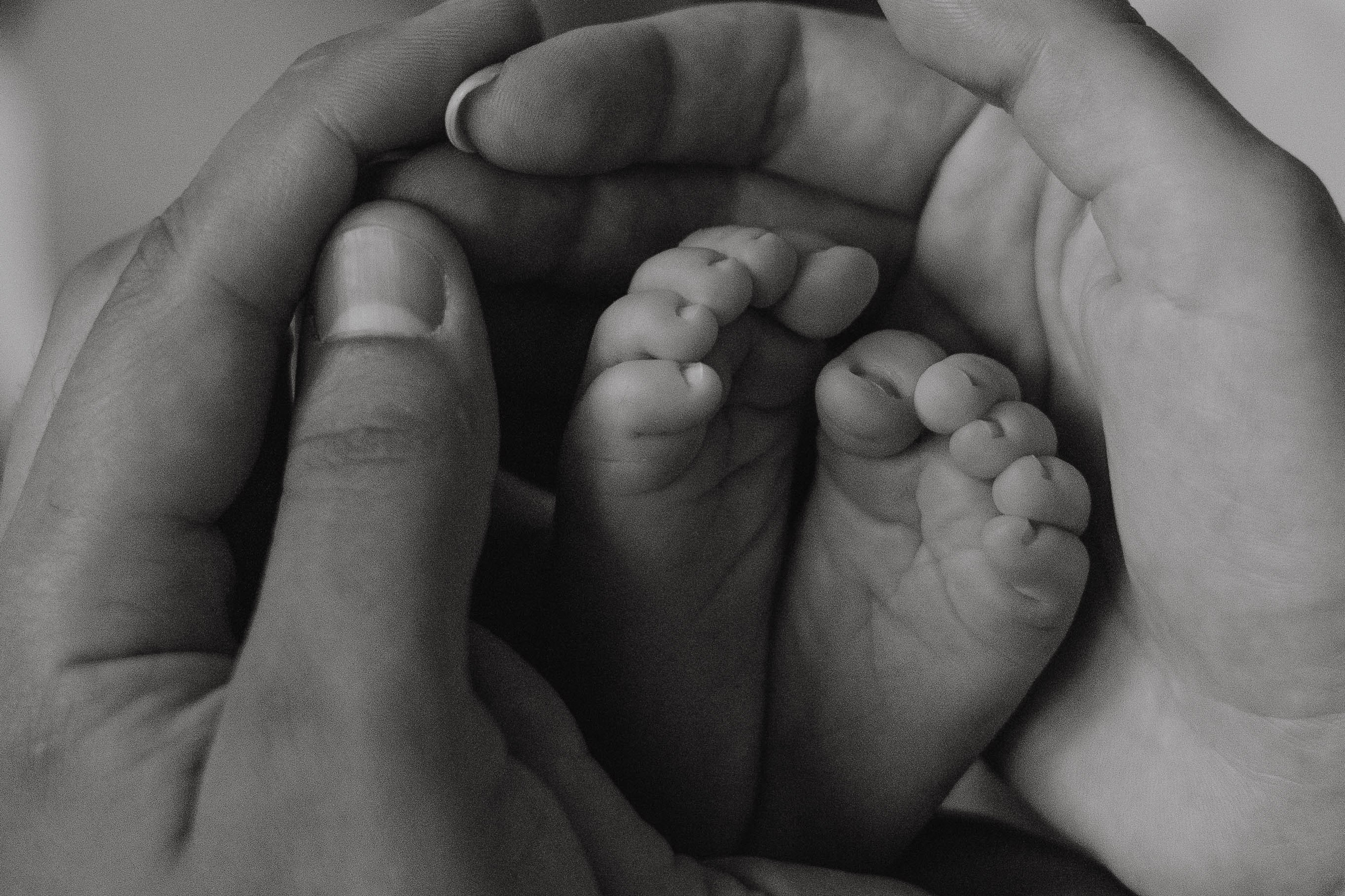 Крошка Михаил. Семейный фотограф в Москве Анастасия Марти