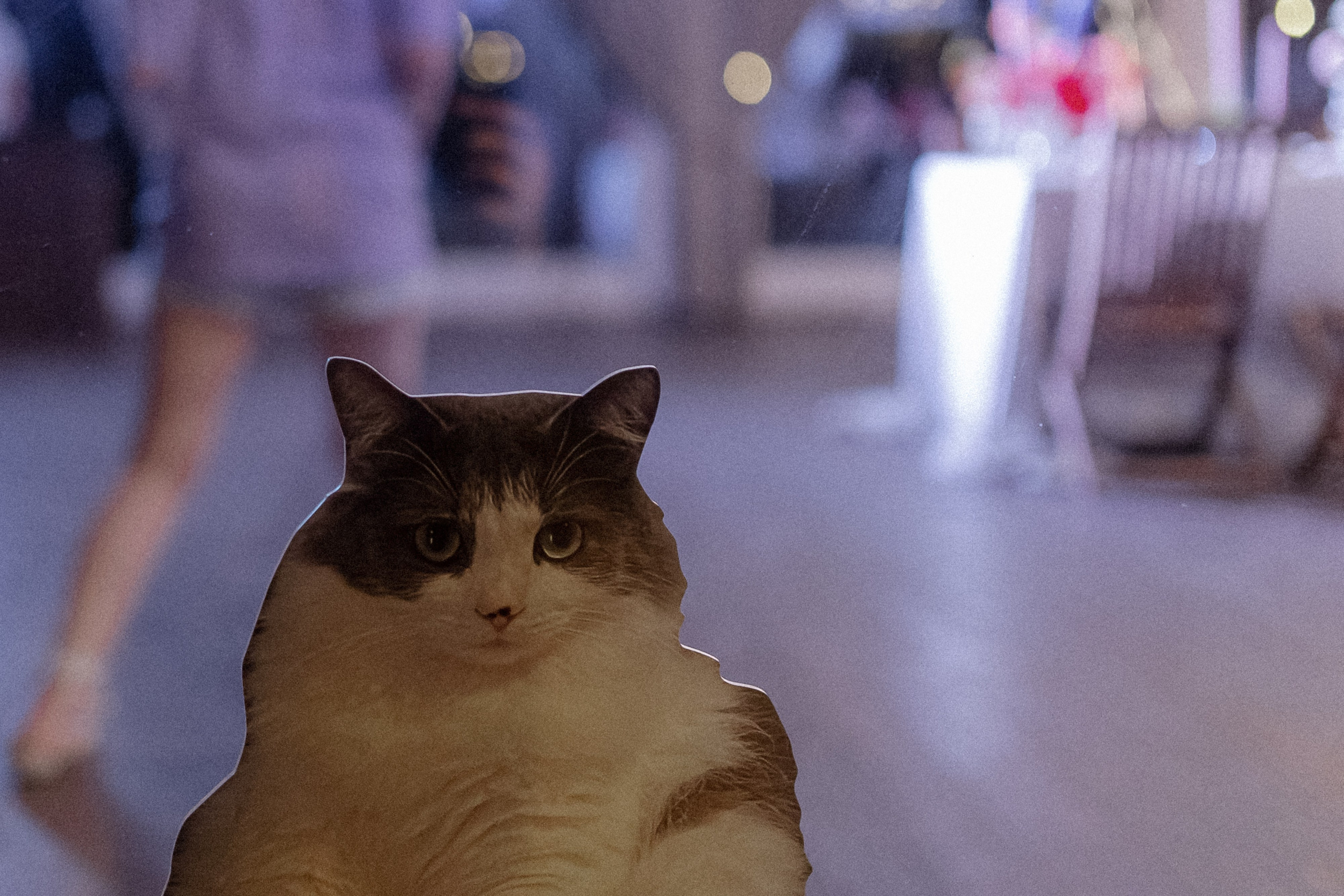 Wedding day Артем и Яна. Свадебный фотограф Колесников Антон