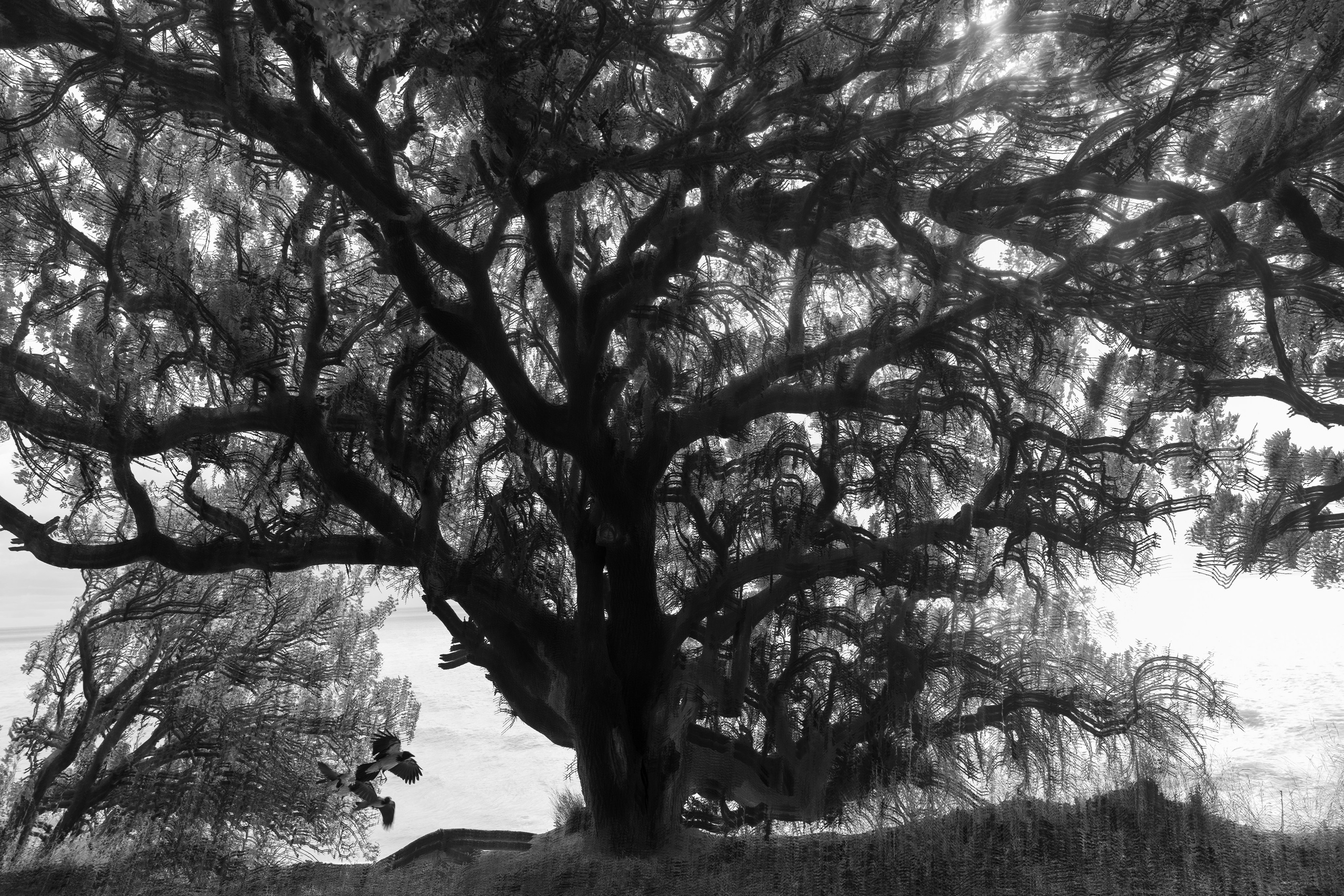 Точка сборки | The assembly point. Фотограф алина стерхова, алина стерхова фотограф, фотограф москва