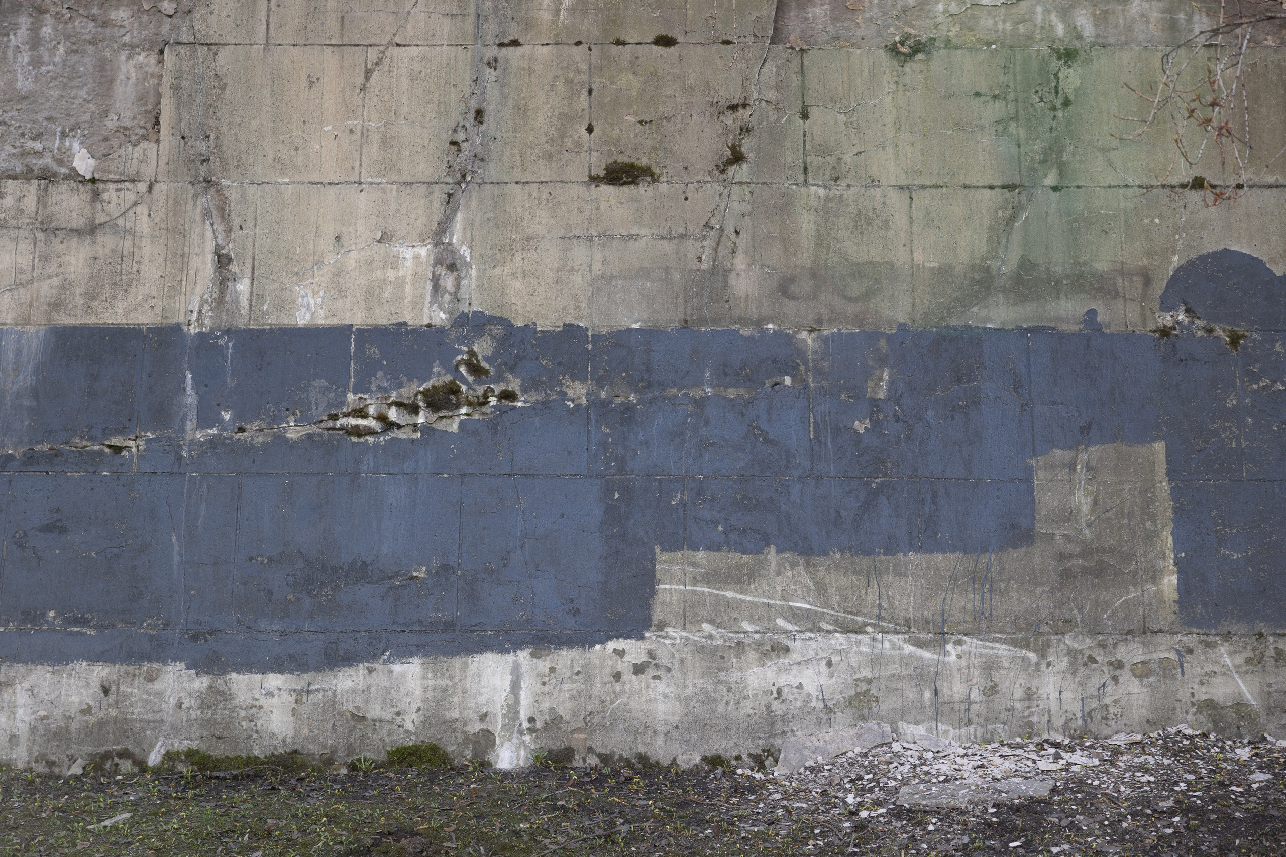 Art prints. Фотограф алина стерхова, алина стерхова фотограф, фотограф москва