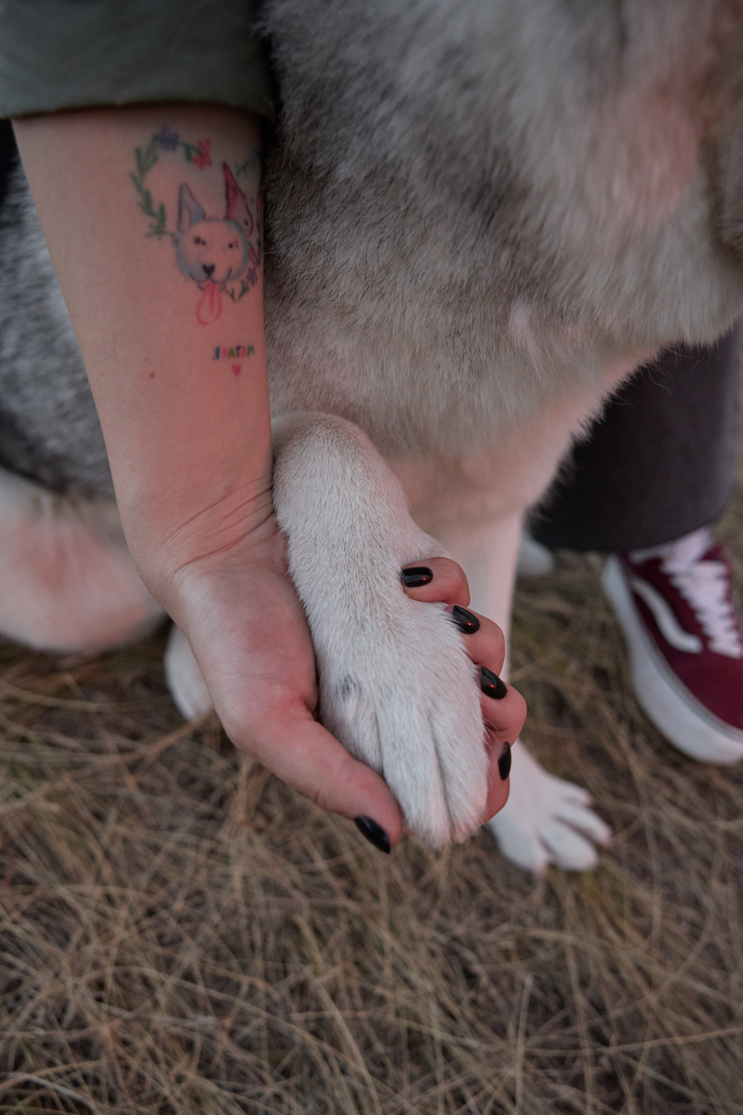 Аделя и ее хвостики. Фотограф анималист в Казани Алина Сулейманова. Фотограф животных