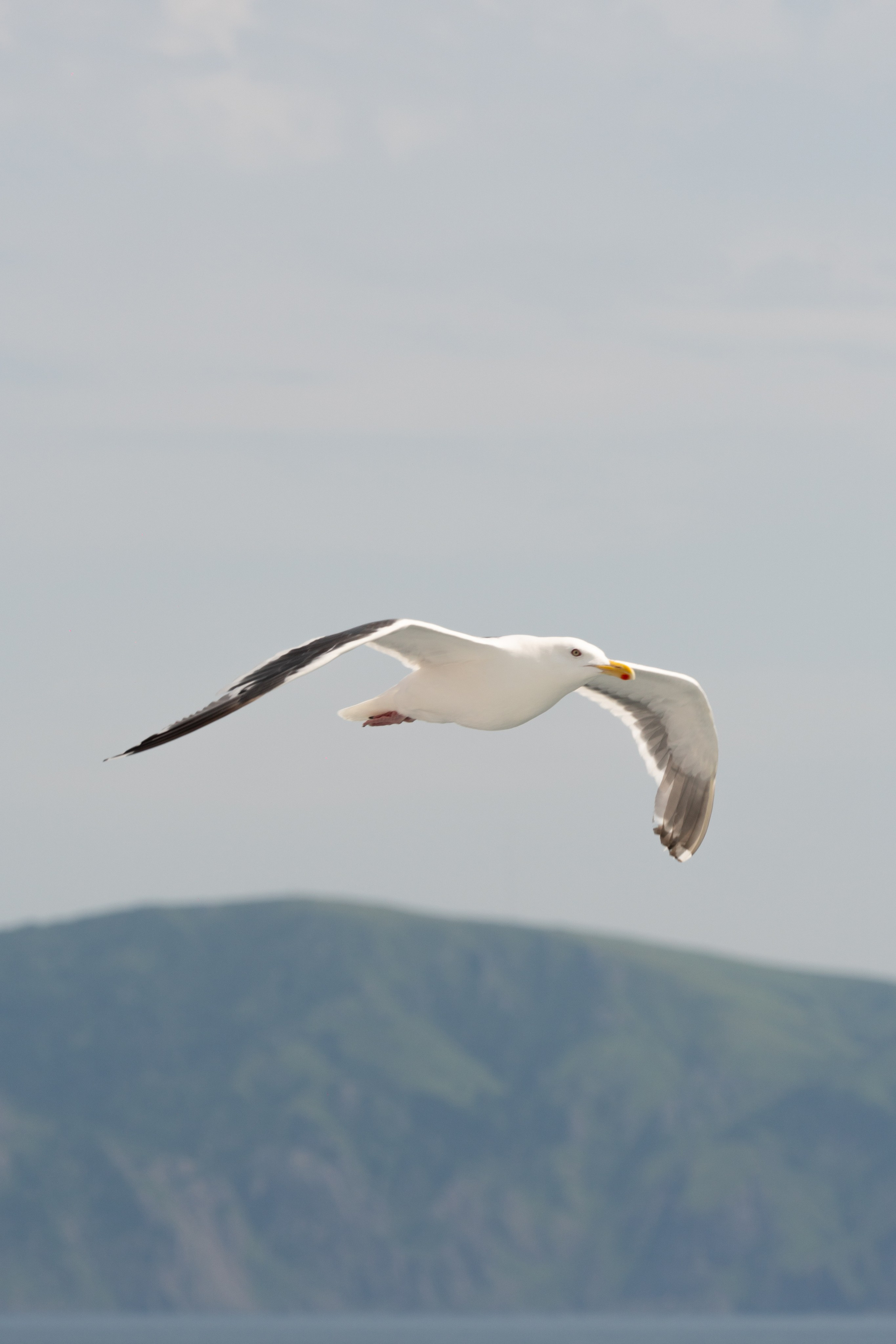 Курильские острова. Gusarov Travel Photography