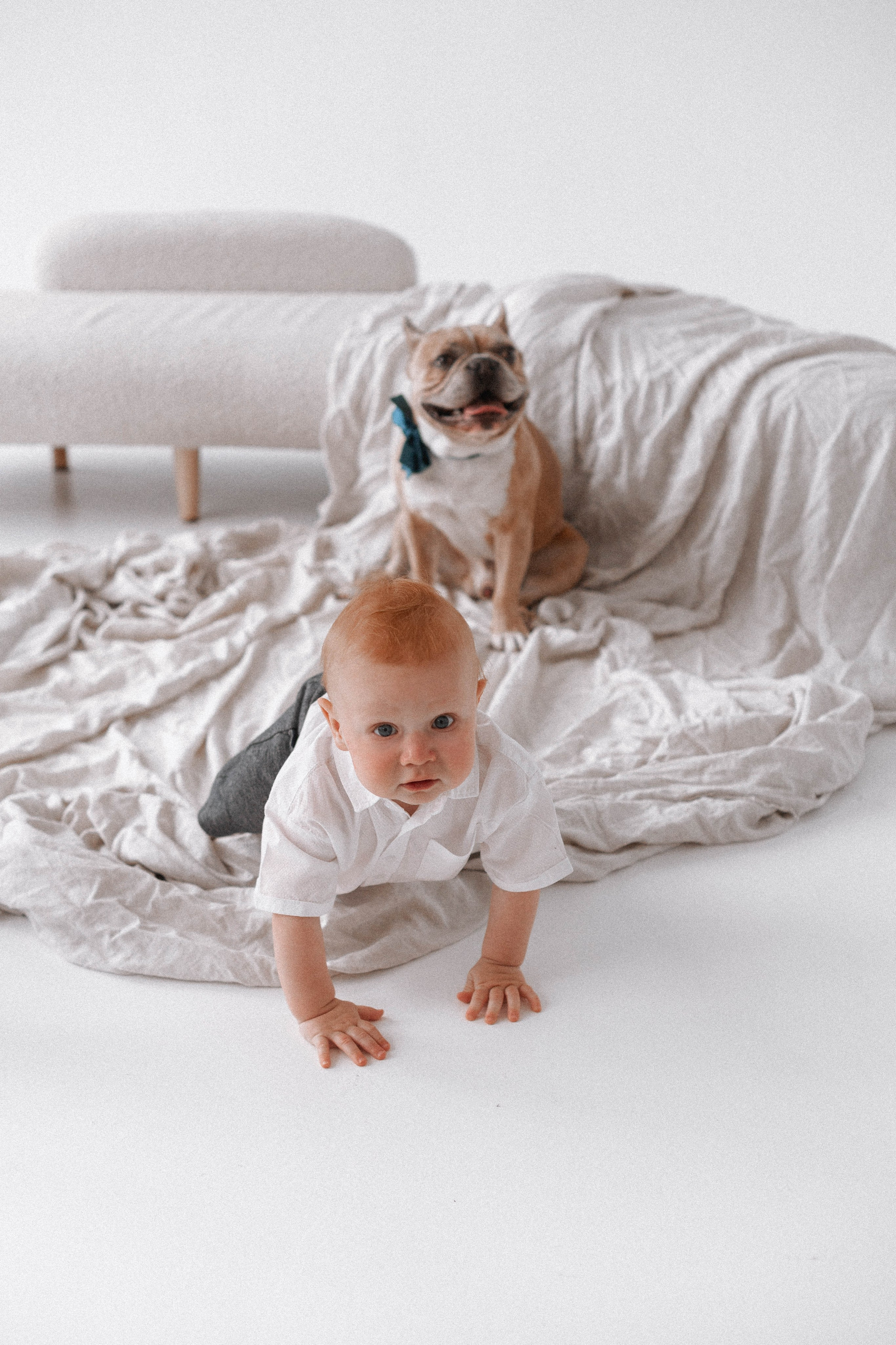 Миша & Остин. Свадебный и портретный фотограф Соломко Диана