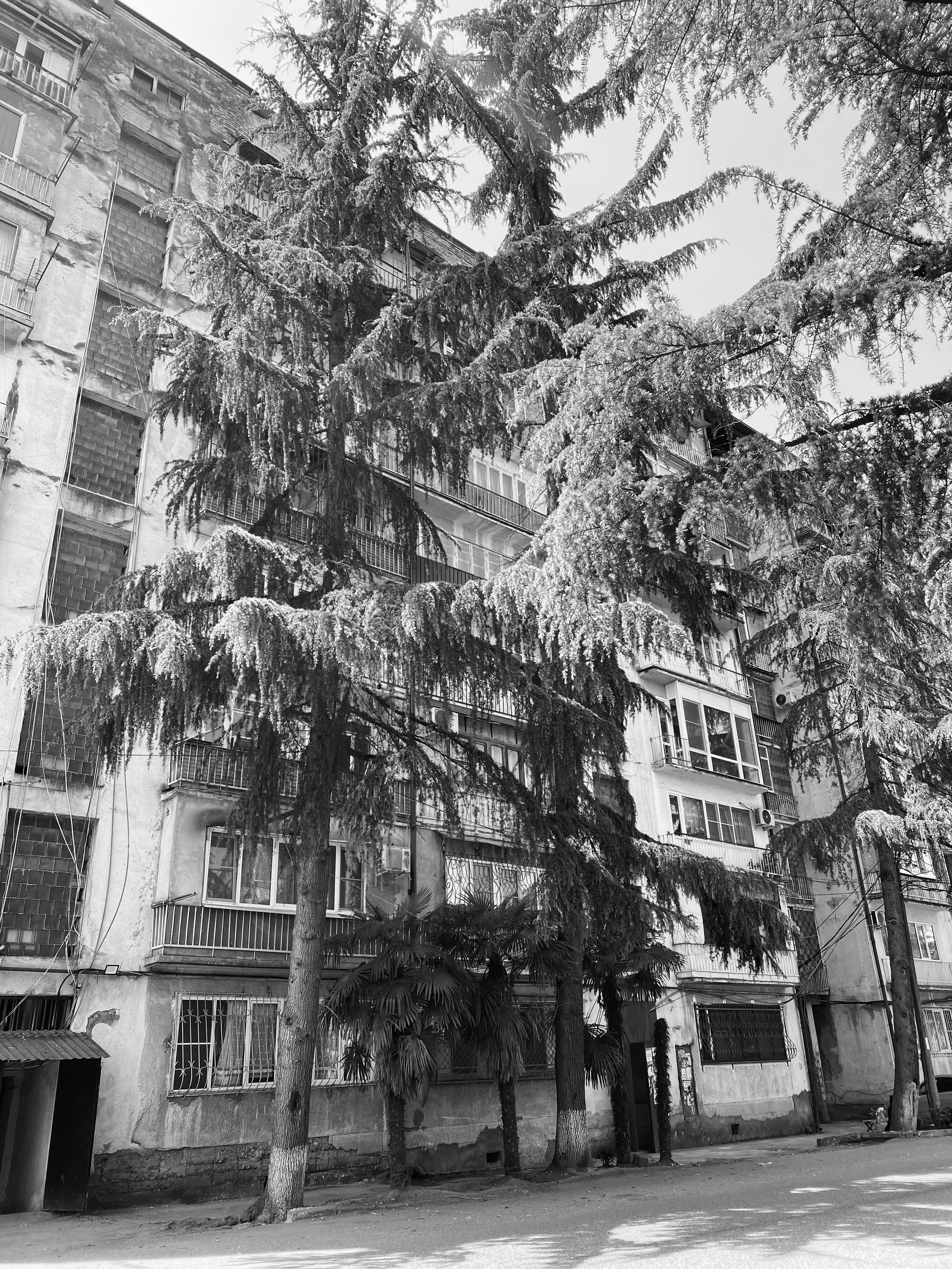 Уличная фотография