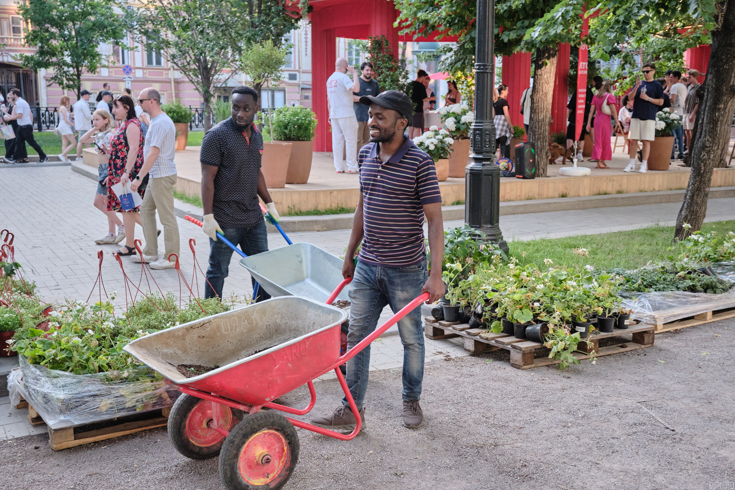 Бульвары для всех l Лето в Москве. Фотографъ Сергѣевъ. Поймать мгновеніе