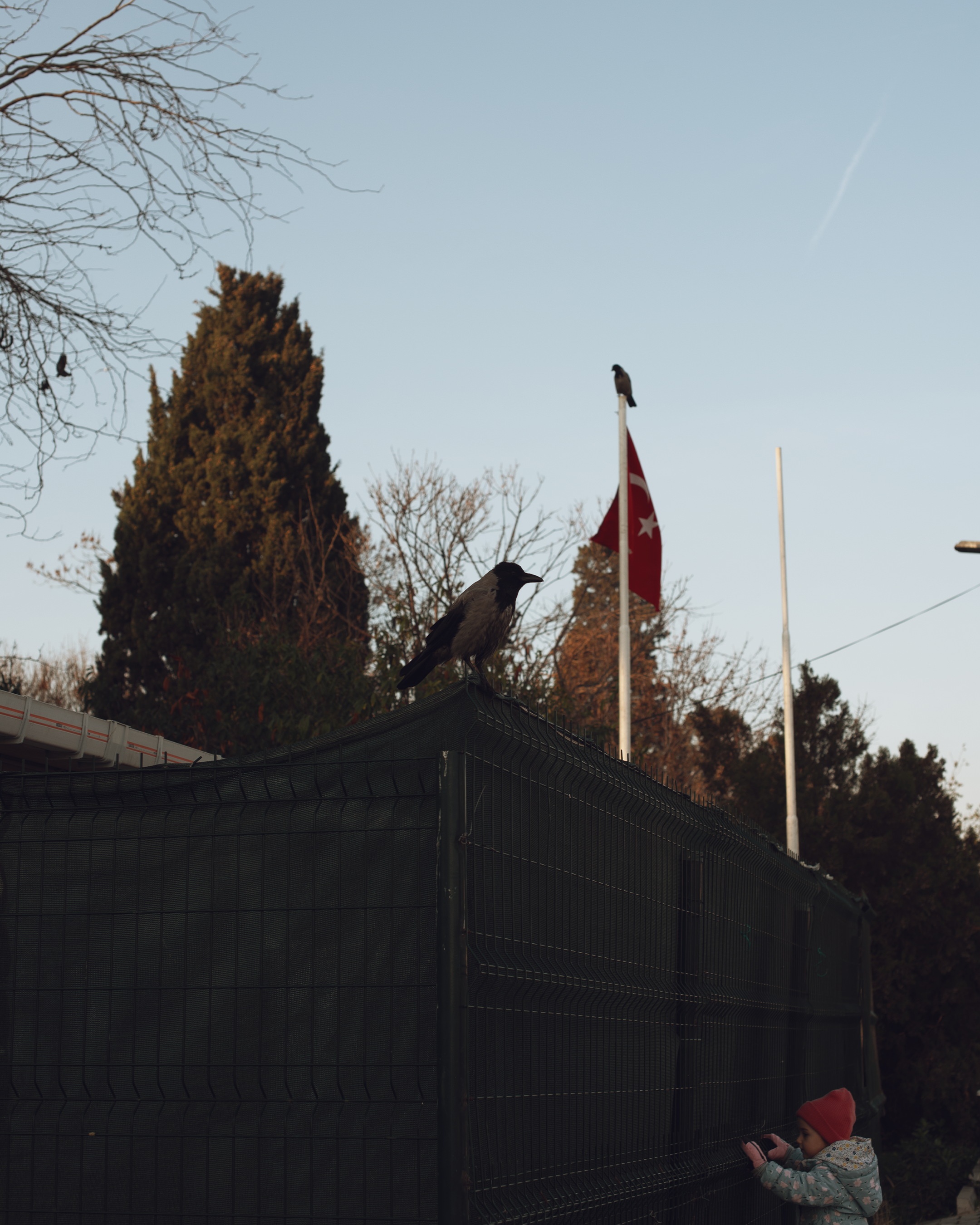 Путешествие по Стамбулу: истории в каждом кадре. Коммерческий и предметный фотограф в Гуанчжоу Коваленко Александр